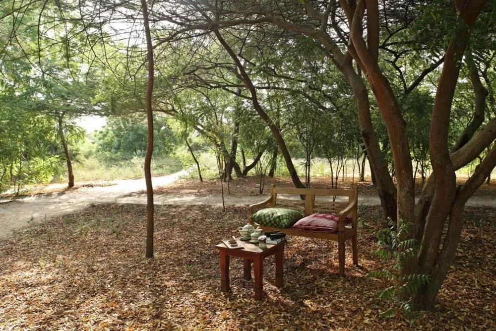 Garden in The Red Pepper House