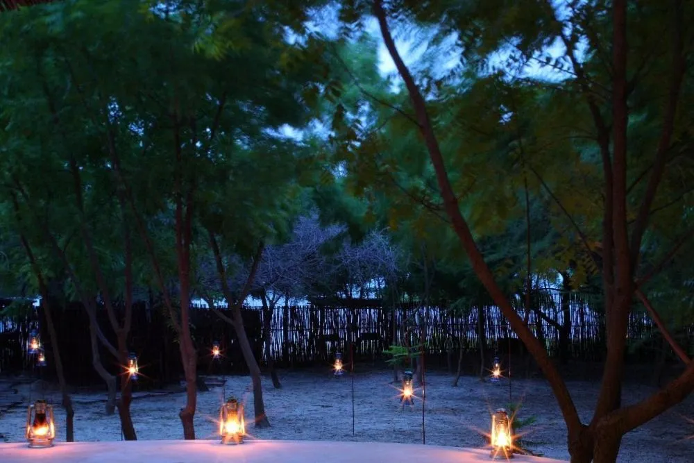 Garden in The Red Pepper House