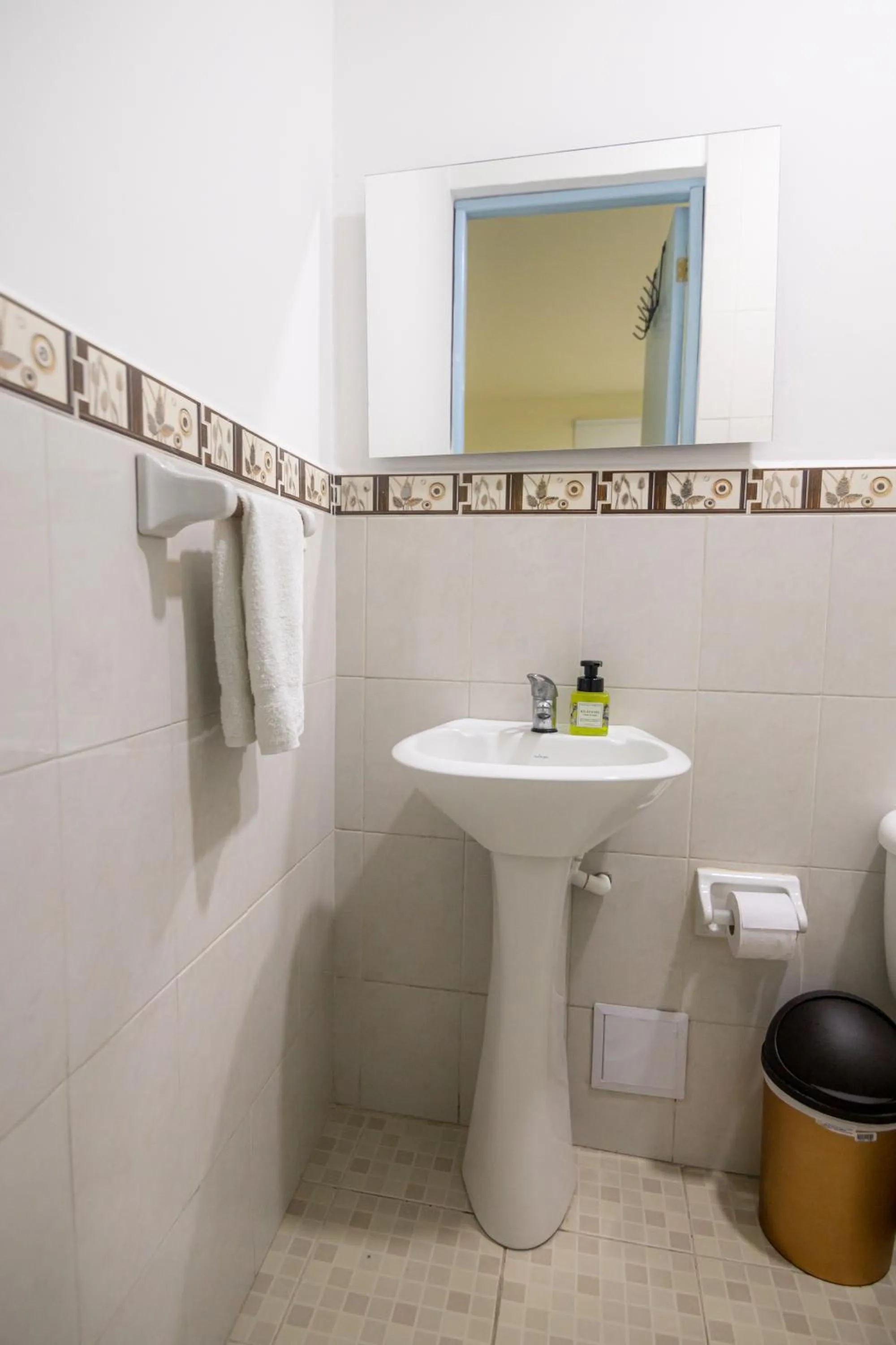 Toilet in San Felicin Hostel