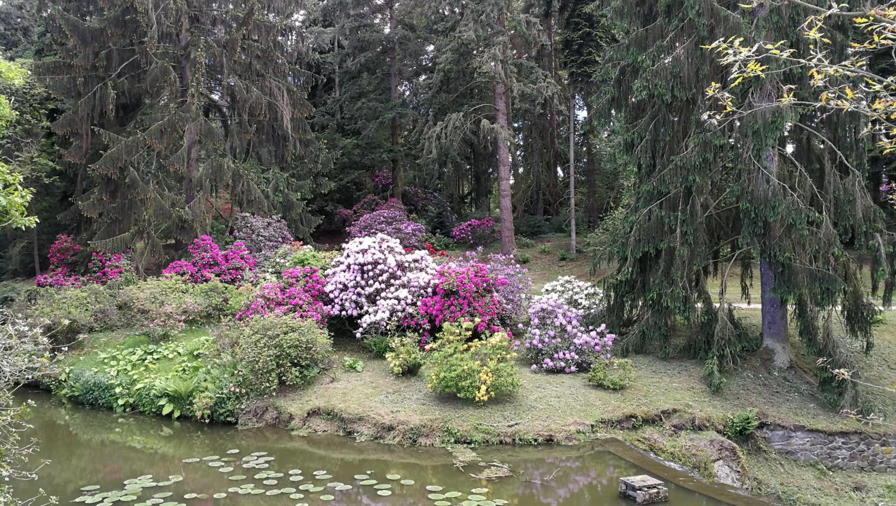 Off site in Hotel Tulipan Pruhonice