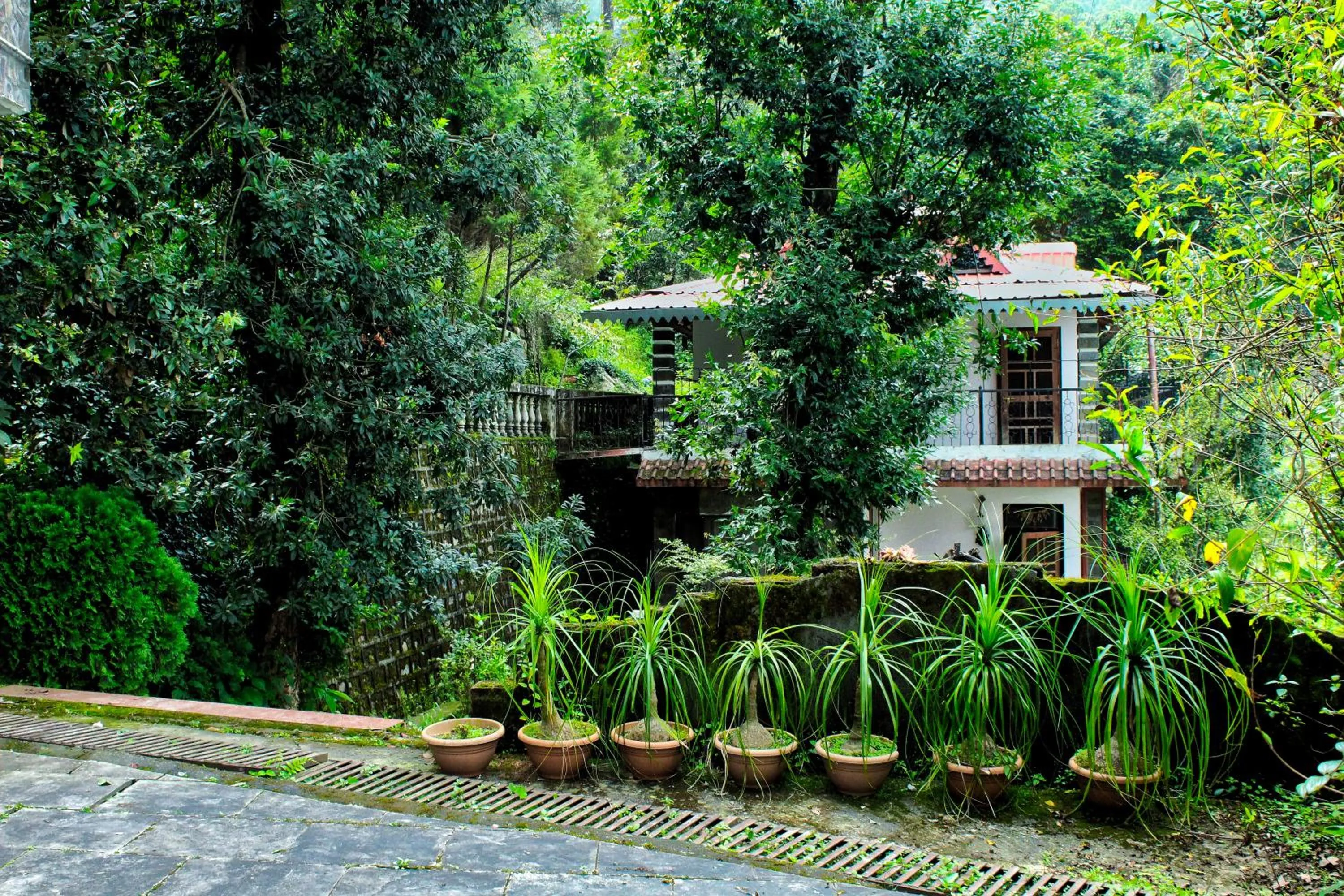 Garden in The Canadian Woods Resort