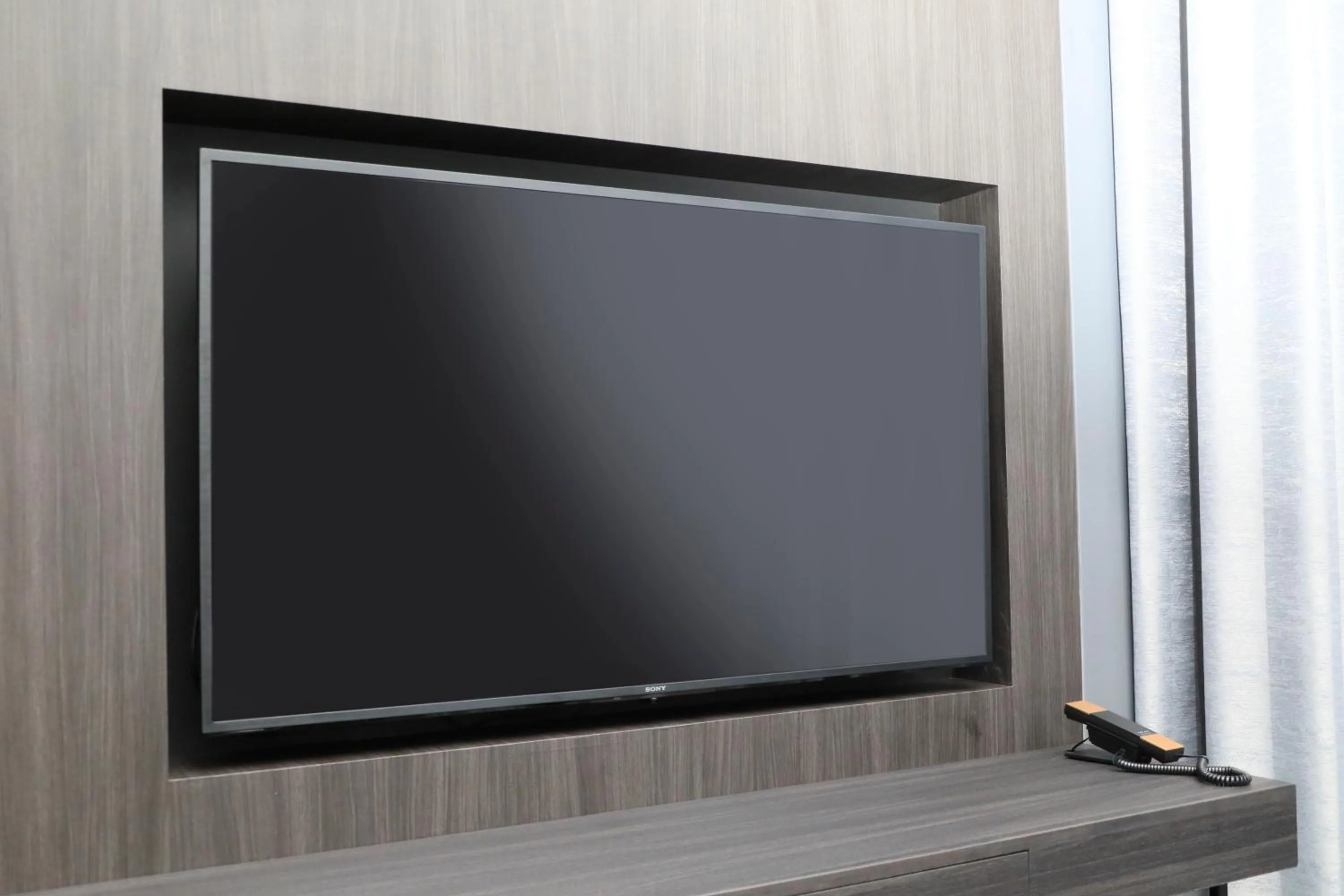 TV and multimedia in Richmond Hotel Premier Kyoto Shijo