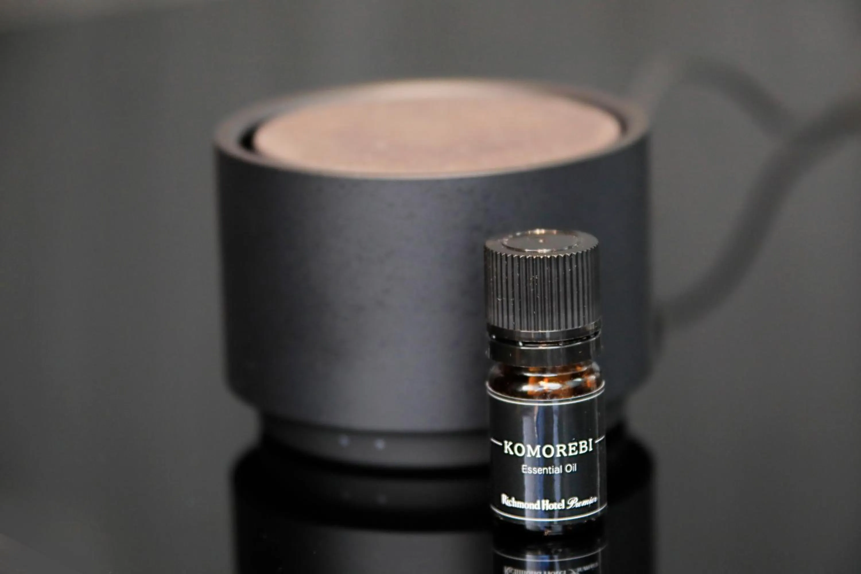 Other in Richmond Hotel Premier Kyoto Shijo