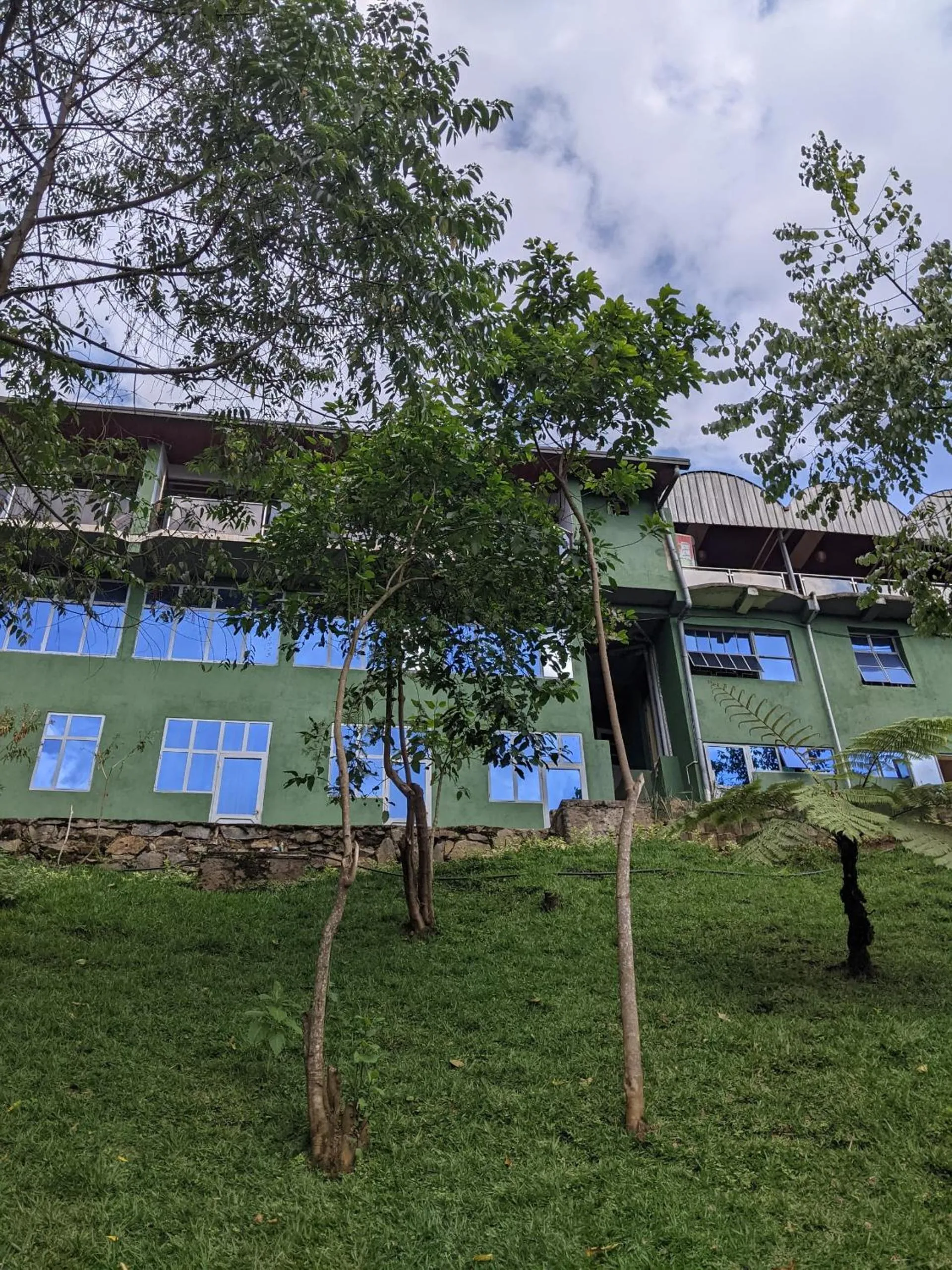 Garden view in Chimpanzee Lodge