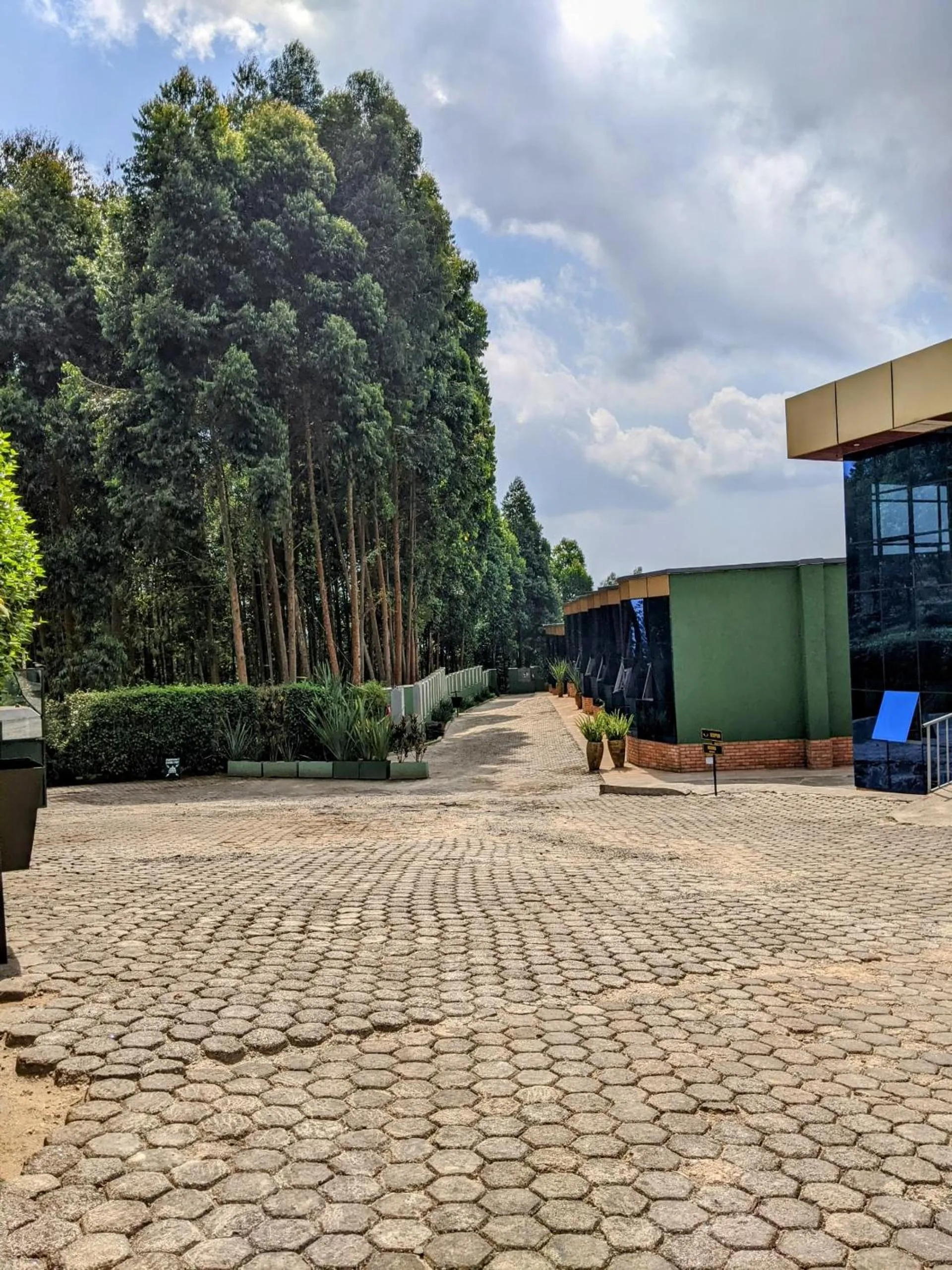 Property building in Chimpanzee Lodge