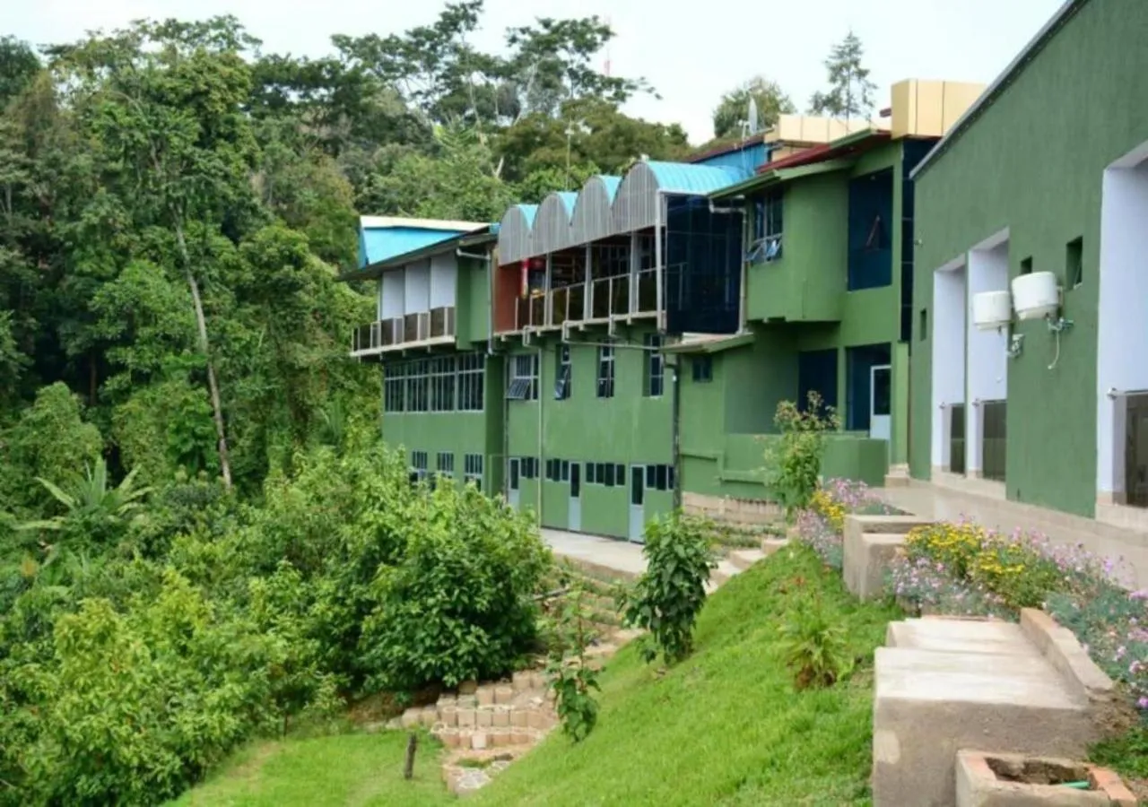 Property building in Chimpanzee Lodge