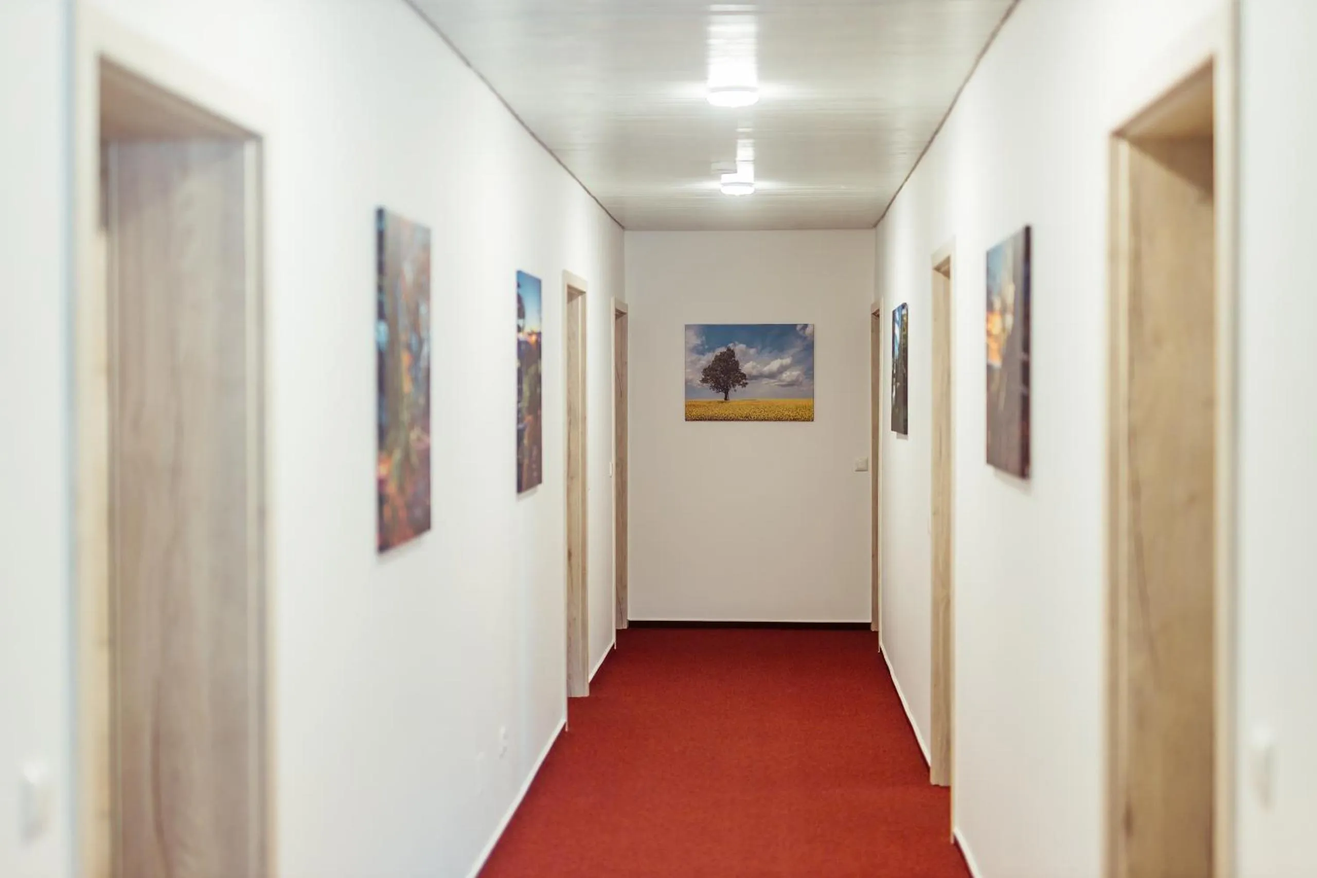 Other in Das Arni´s