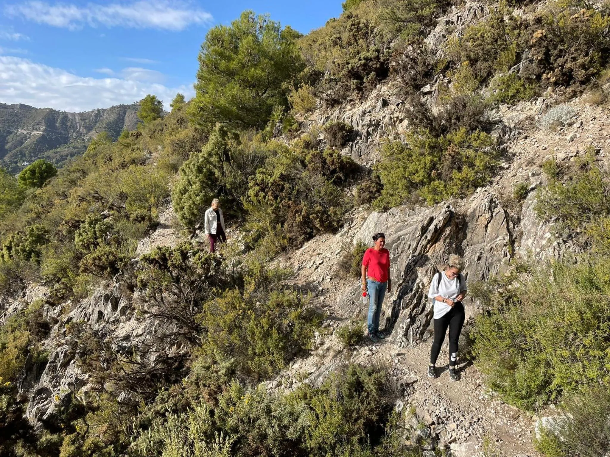 Natural landscape in Malaga Hills Double Comfort Boutique & Wellness Eco-Hotel -Adults Only-