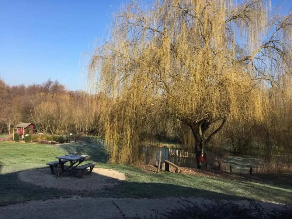 View (from property/room) in LE DOMAINE DU SENS