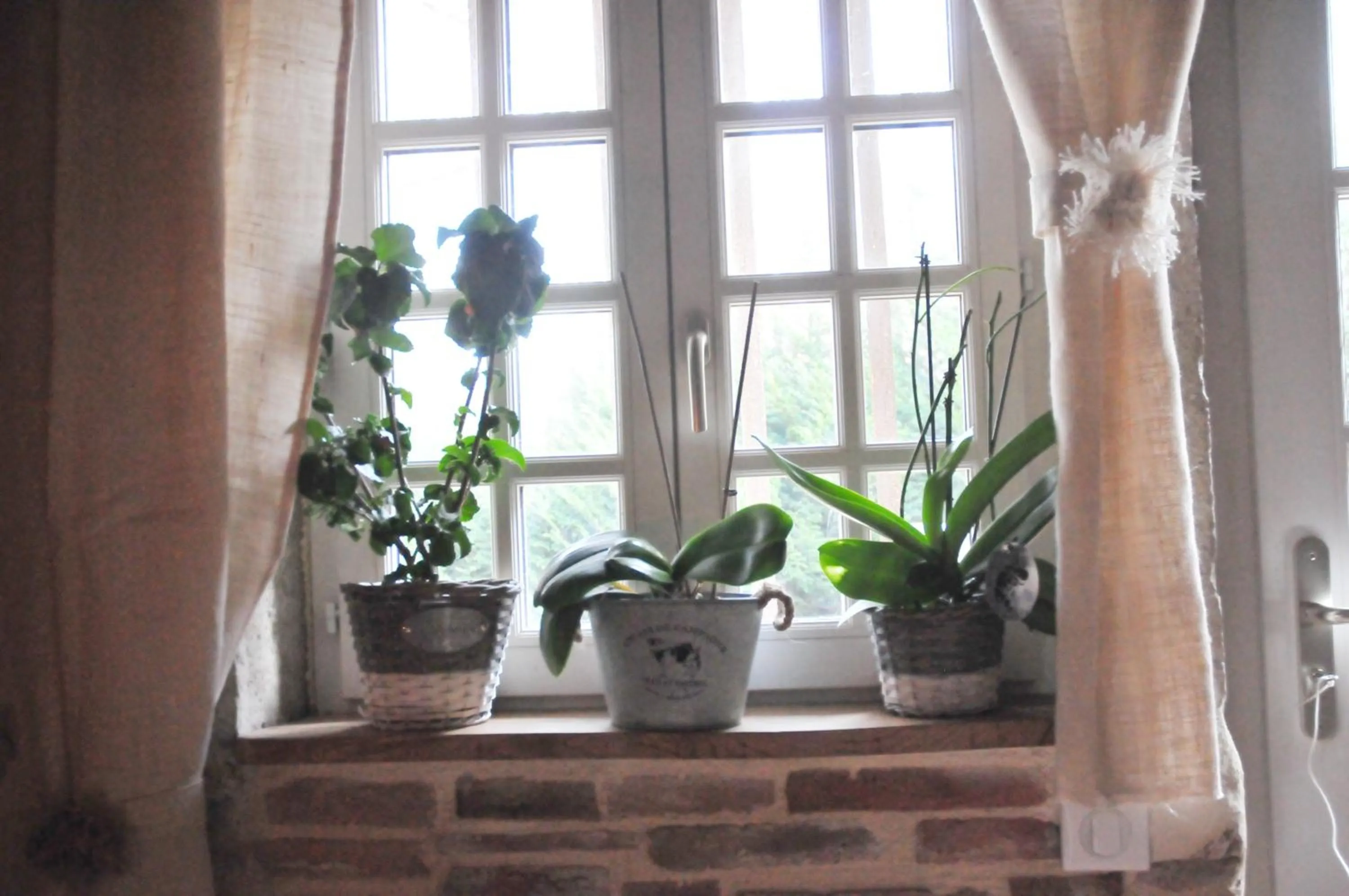 Decorative detail in LE DOMAINE DU SENS