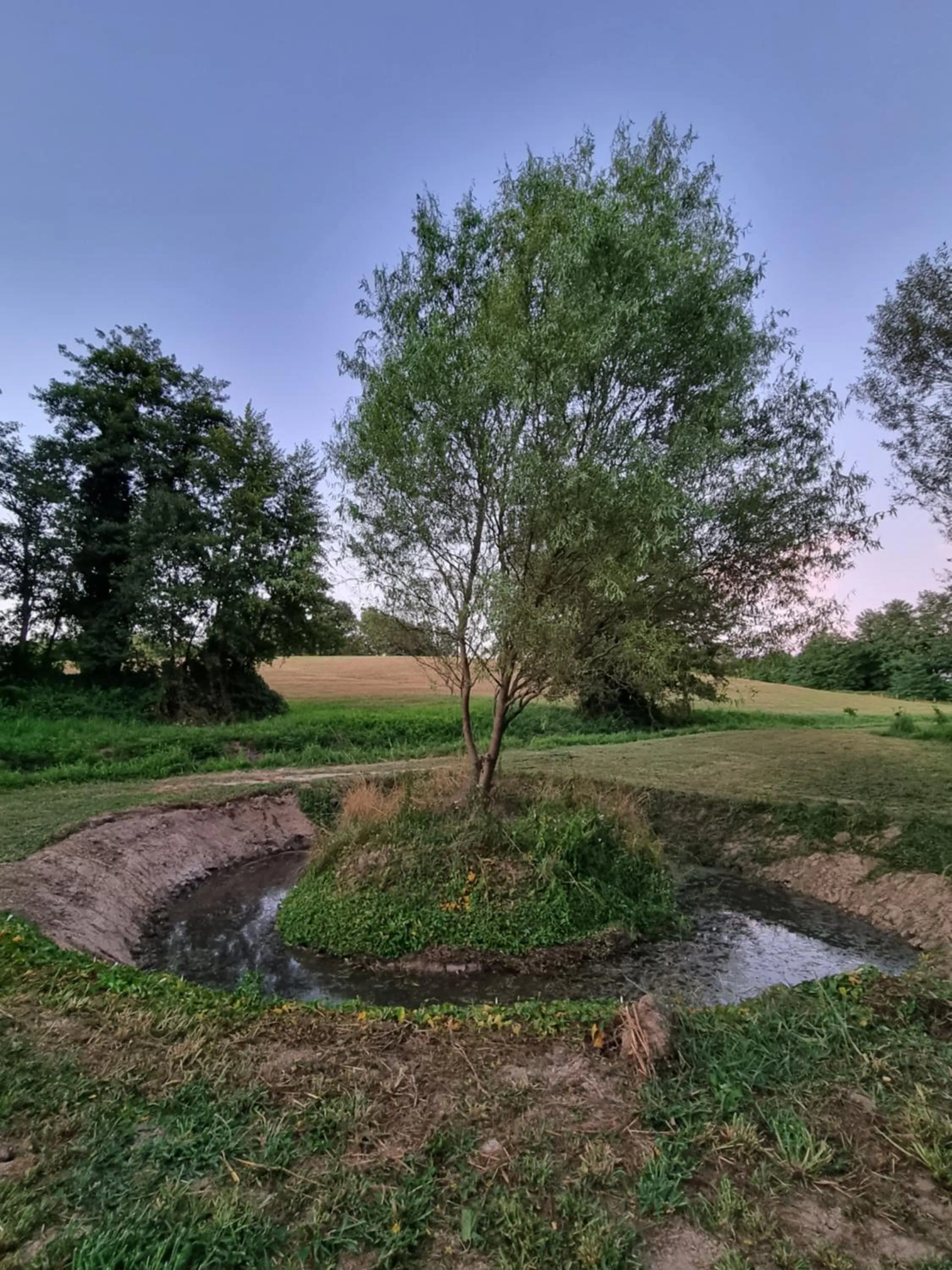 Natural landscape in LE DOMAINE DU SENS
