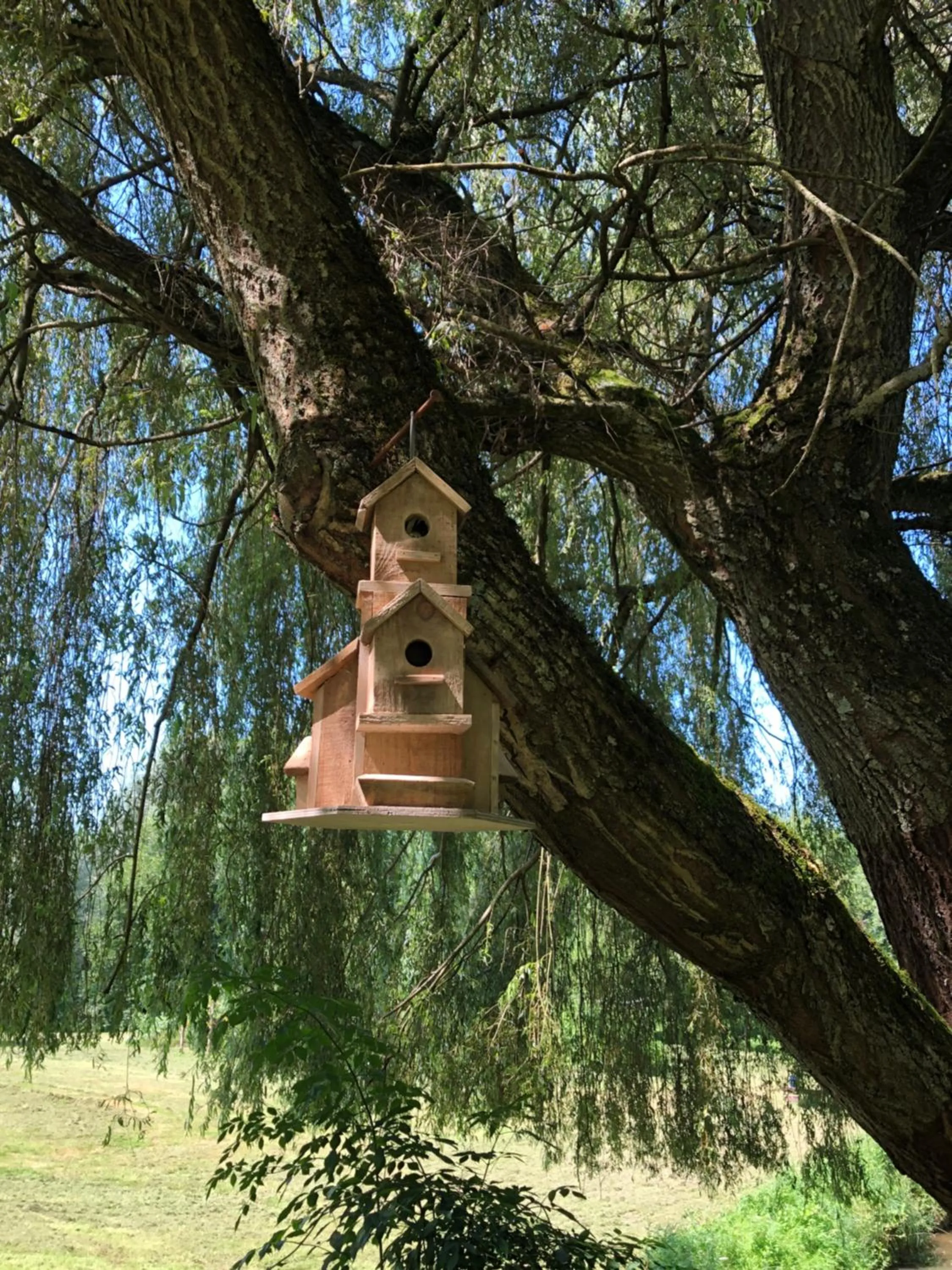 Garden in LE DOMAINE DU SENS