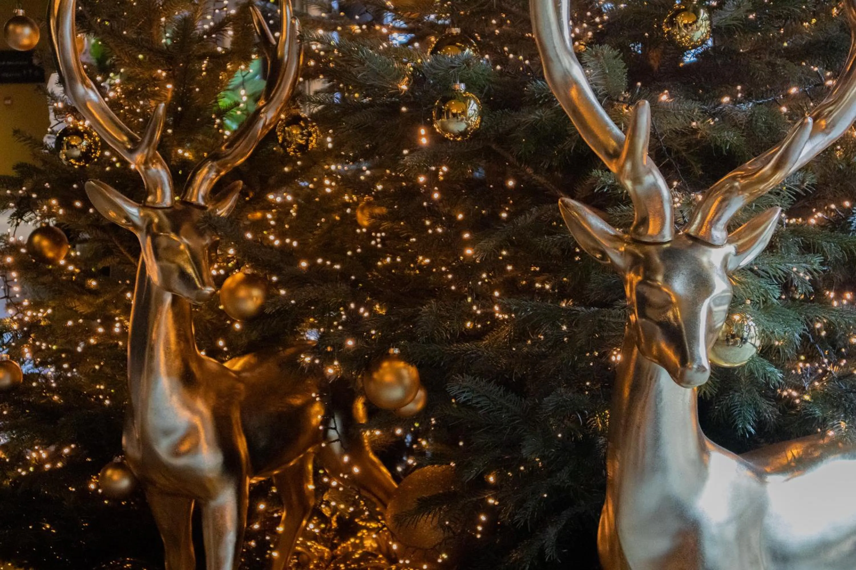 Decorative detail in Hôtel LÉONOR the place to live