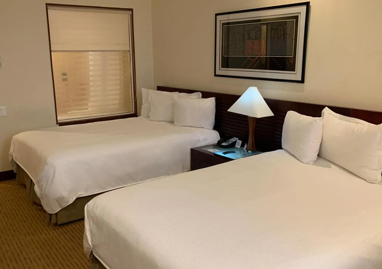 View (from property/room), Bed in Eurobuilding Hotel & Suites Guayana