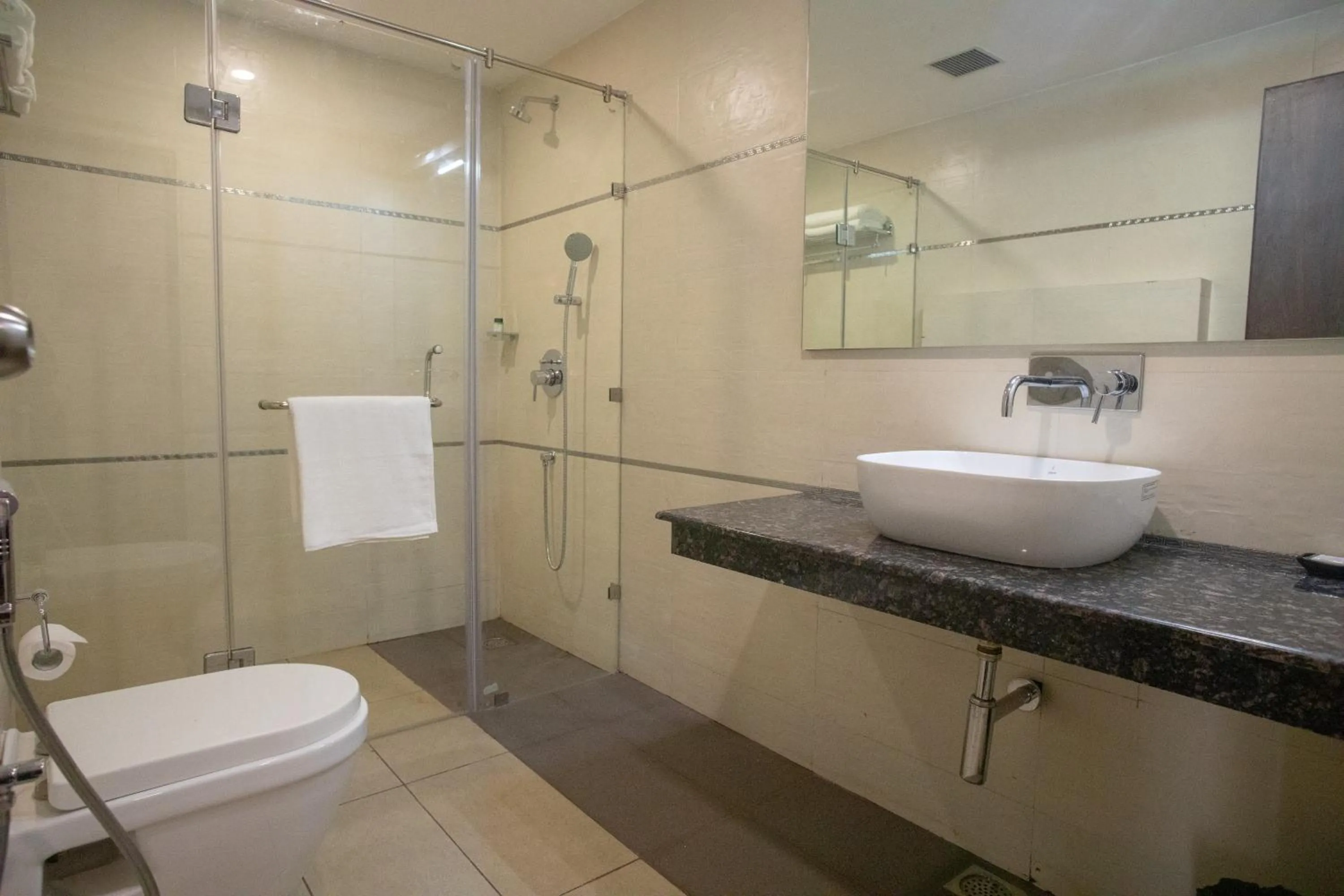 Toilet in Hotel Alaya