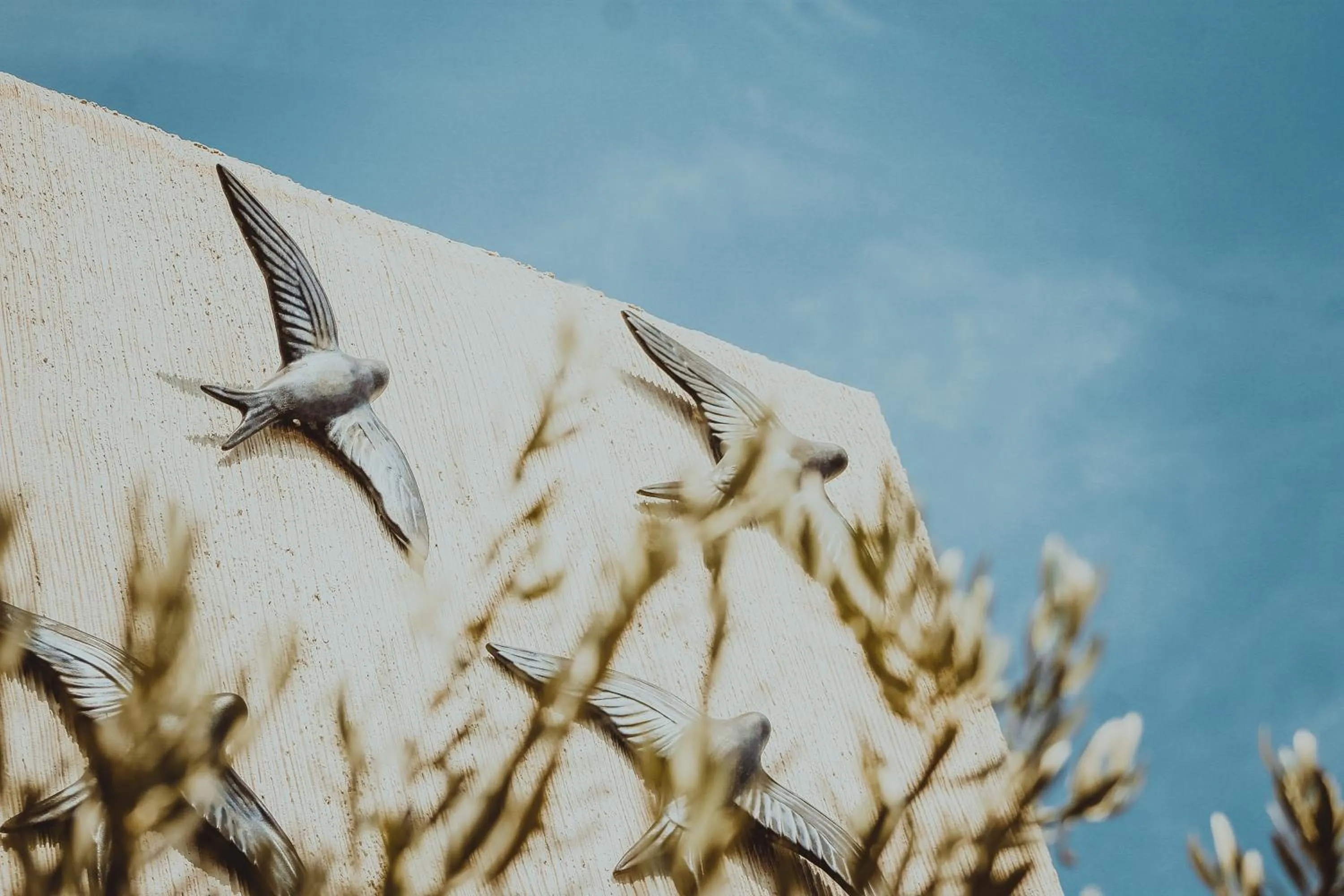 Property building in Kocadon Hotel