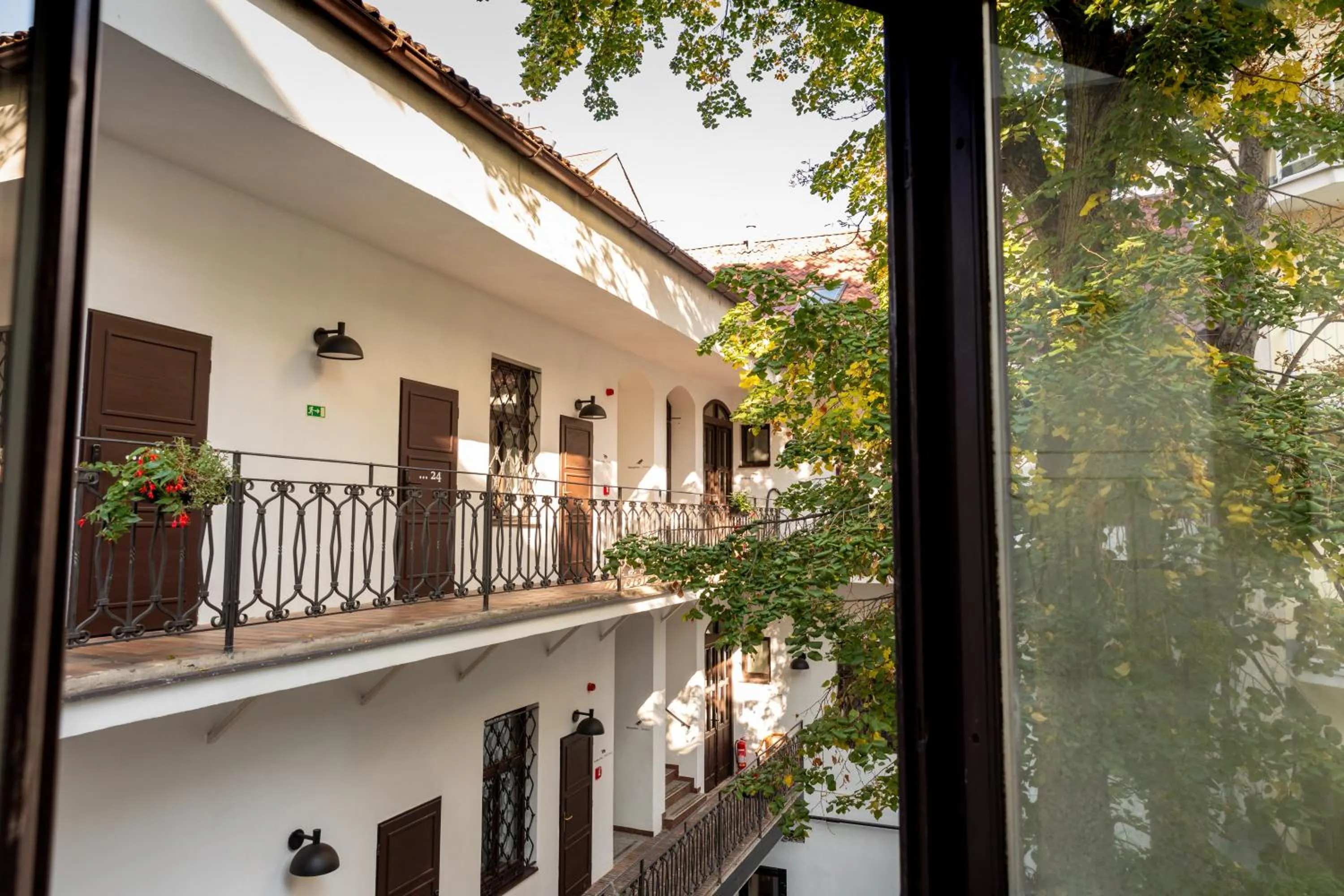 Garden in Hotel Amadeus