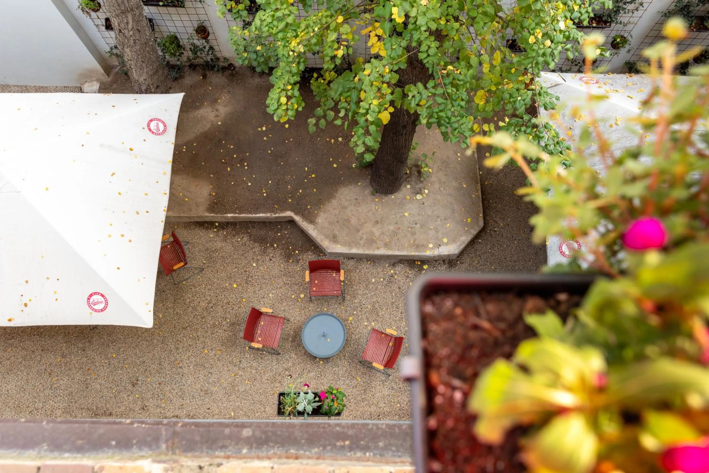 Garden in Hotel Amadeus