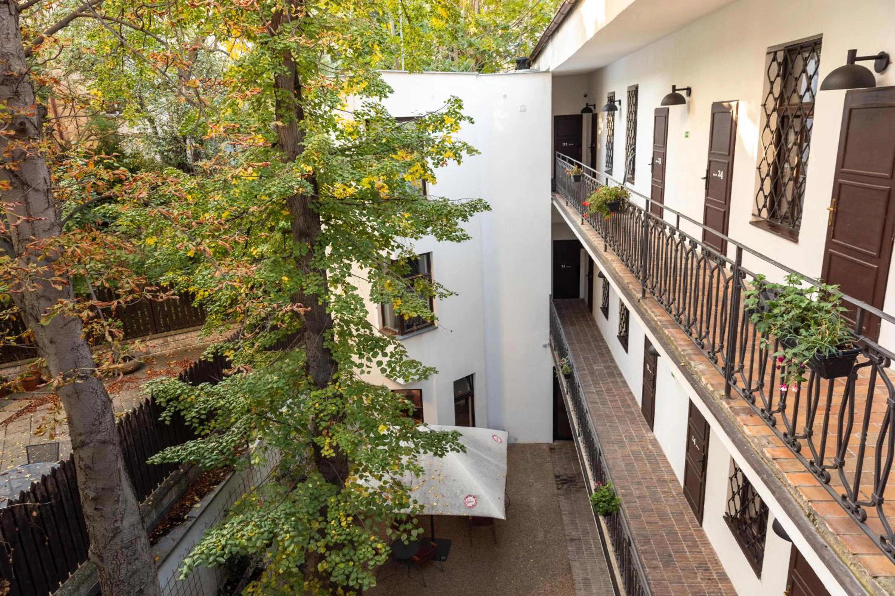 Garden in Hotel Amadeus