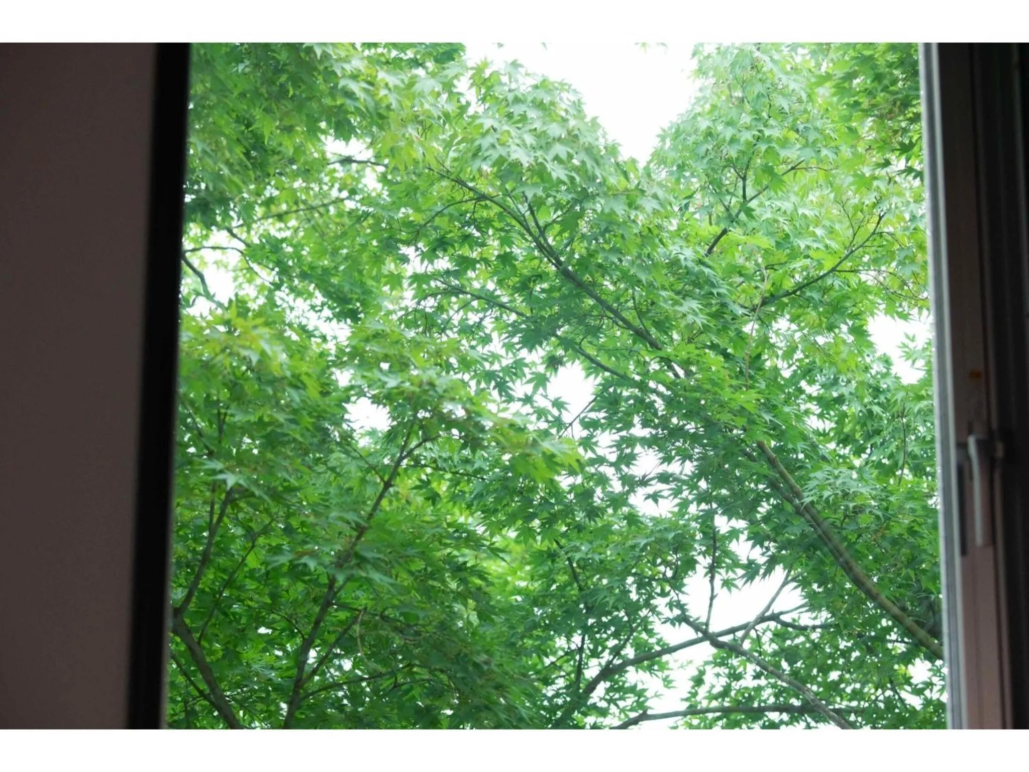 HOTEL KARUIZAWA CROSS - Vacation STAY 56455v