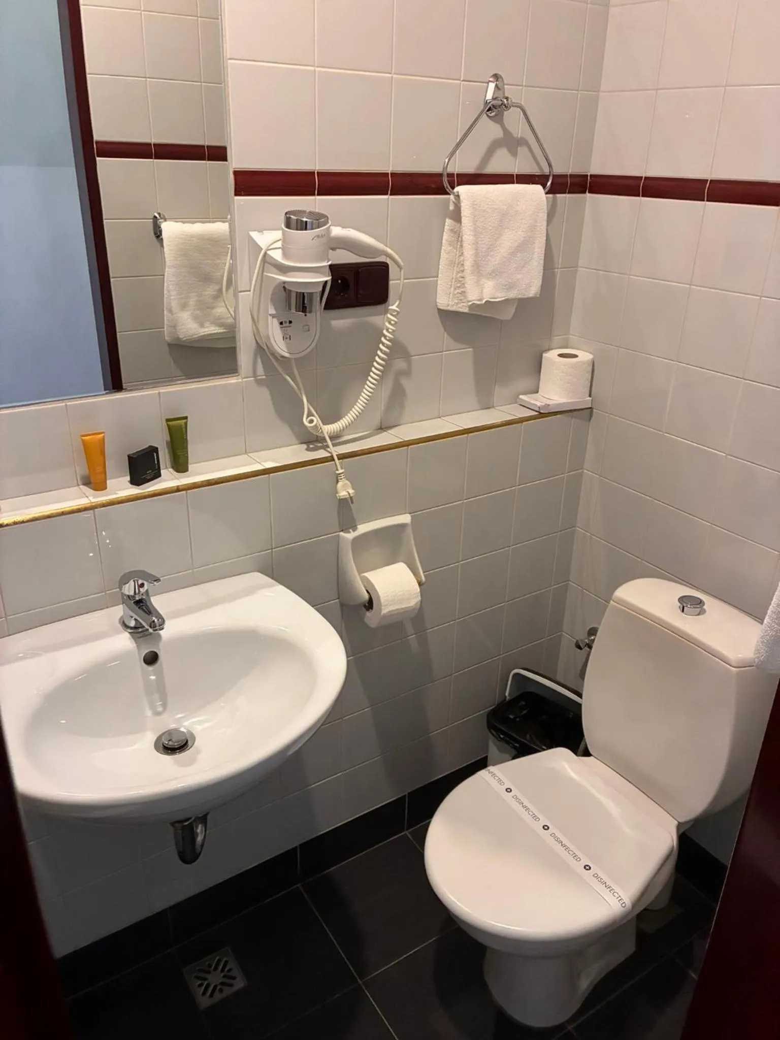 Toilet in Hotel Continental