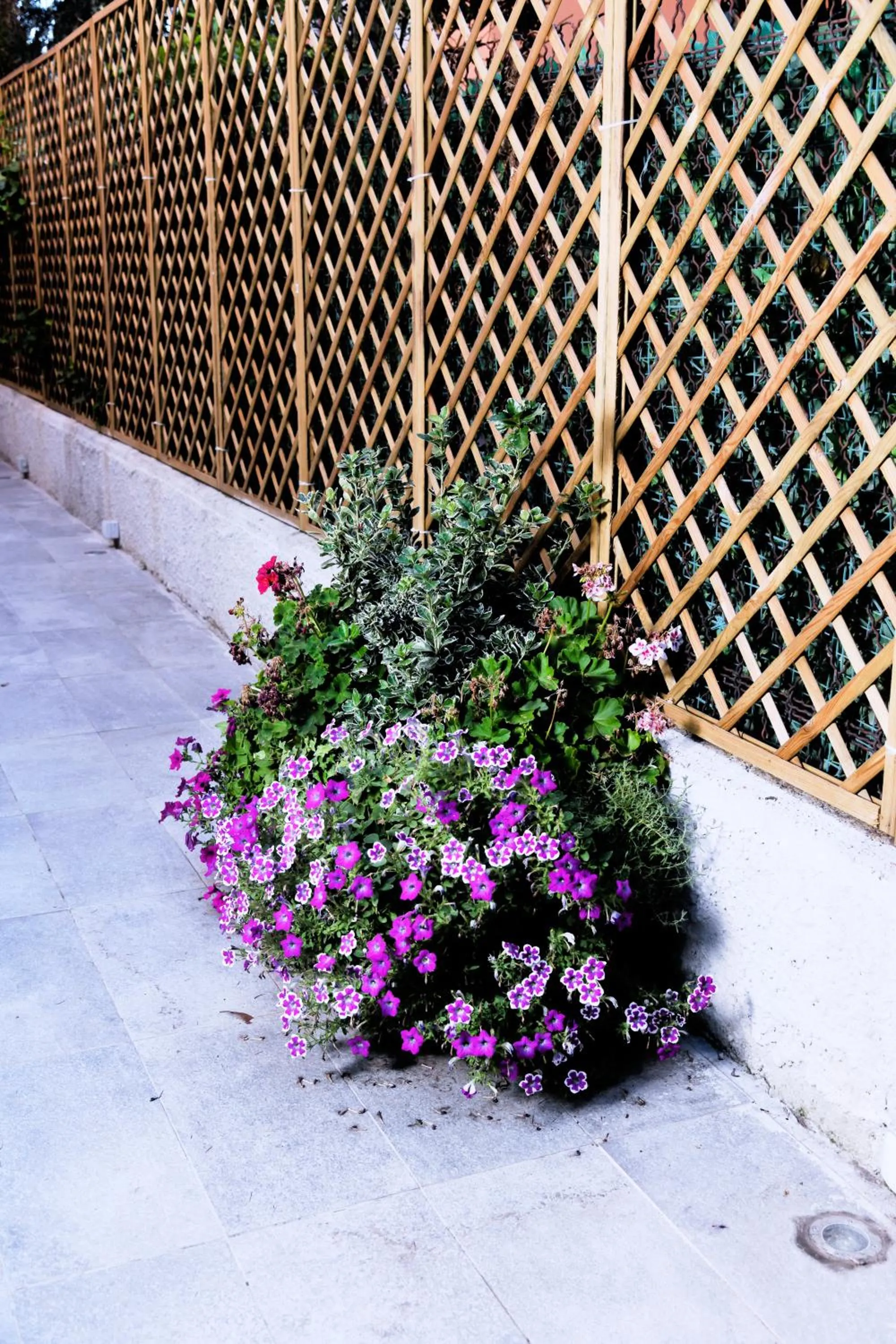 Natural landscape in La Villa bed & breakfast