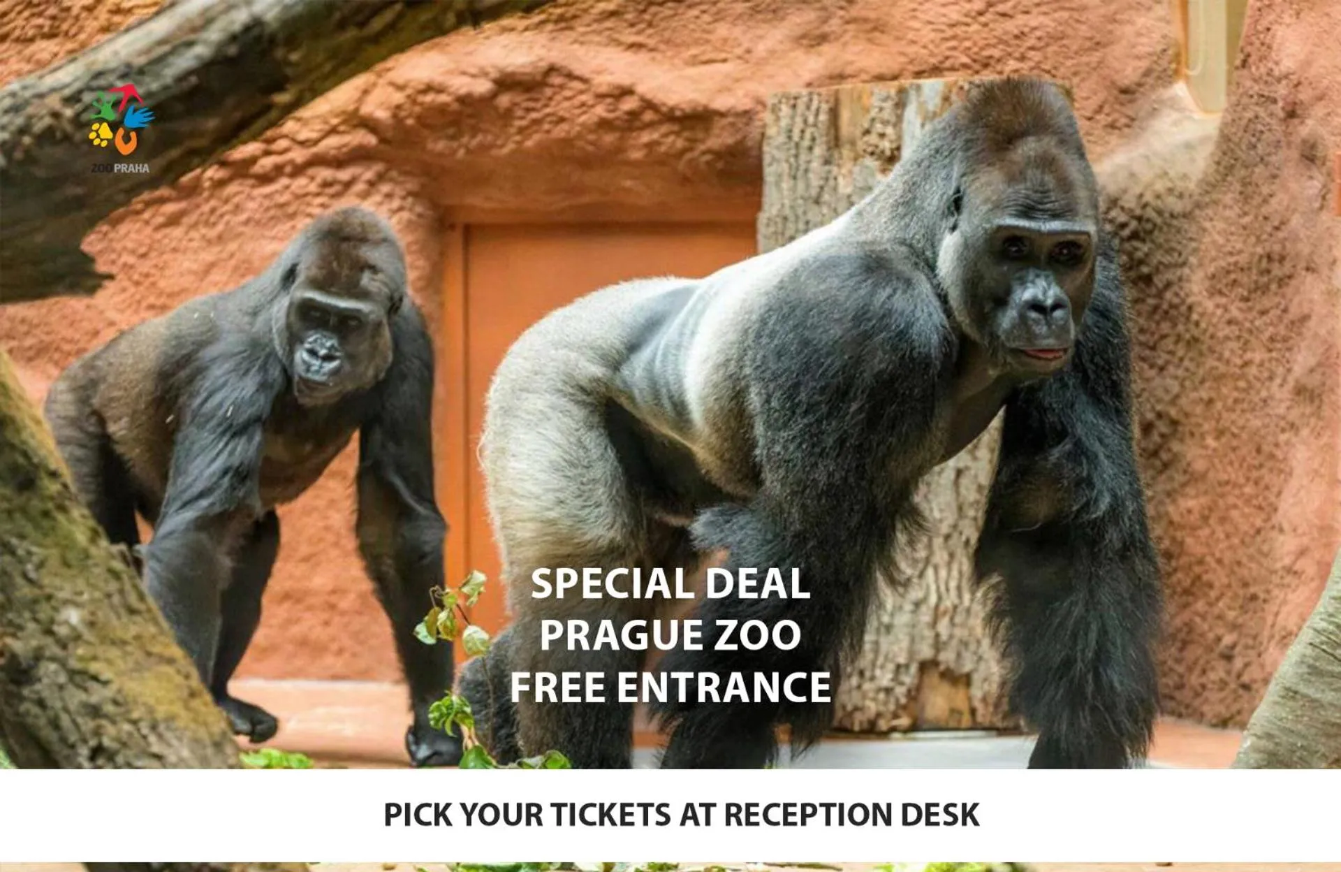 Entertainment in Hotel Uno Prague