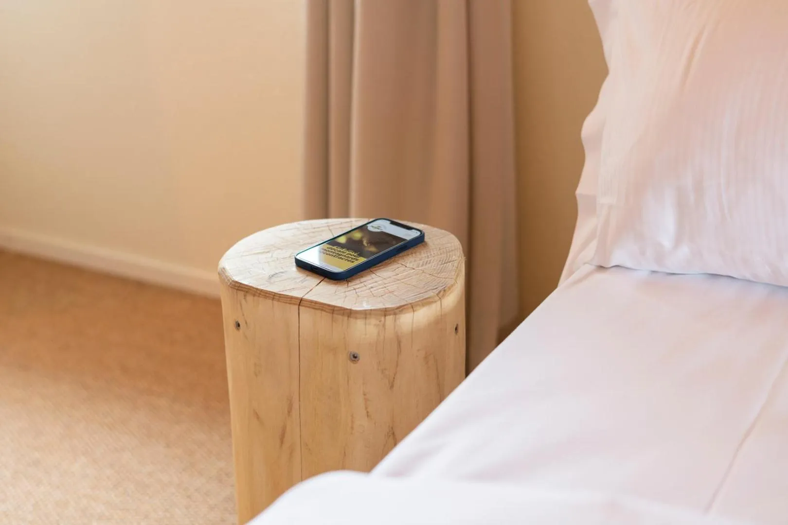 Decorative detail in Peanut Mountain Lodge & Le Communal