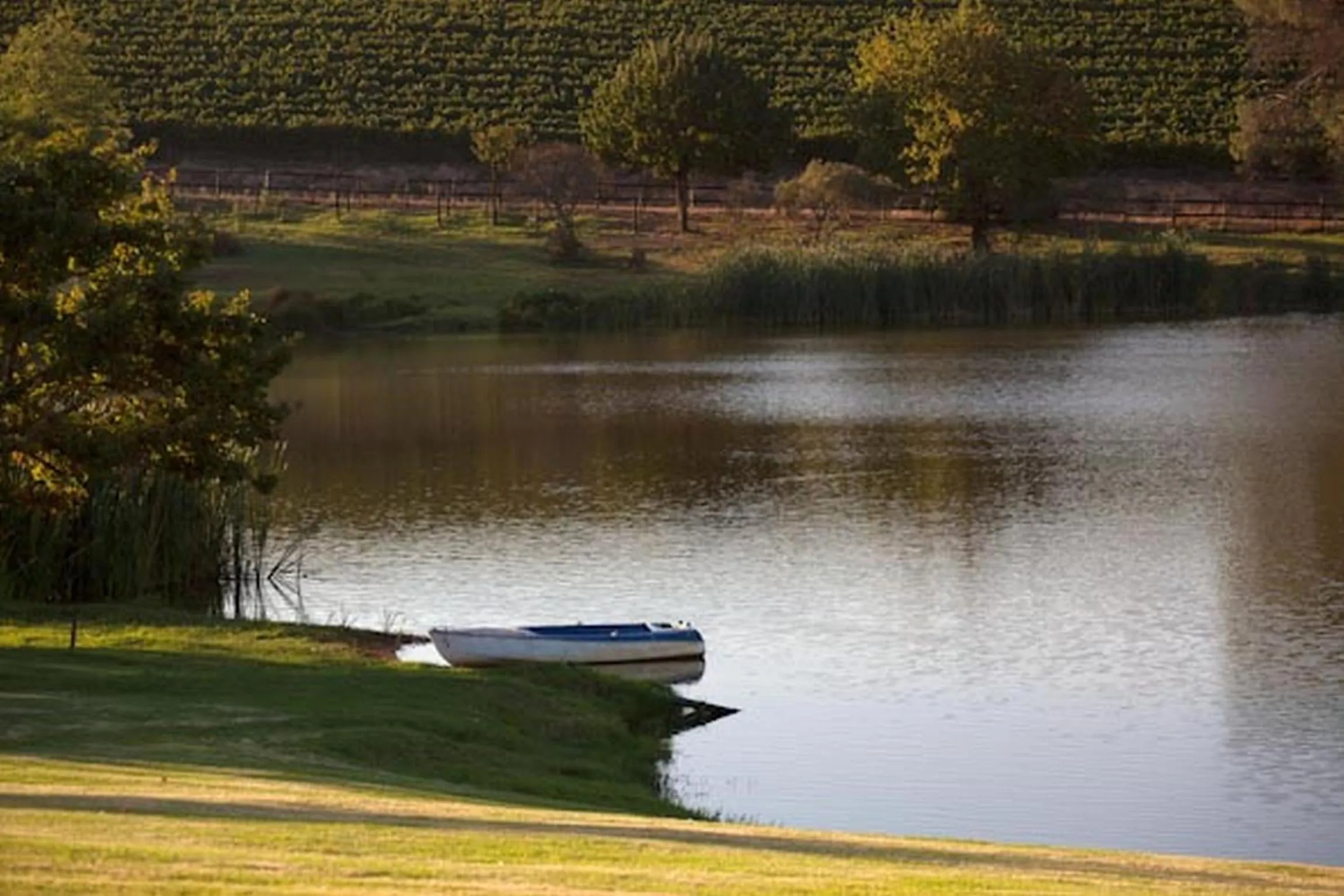 Area and facilities in Under Oaks Guesthouse