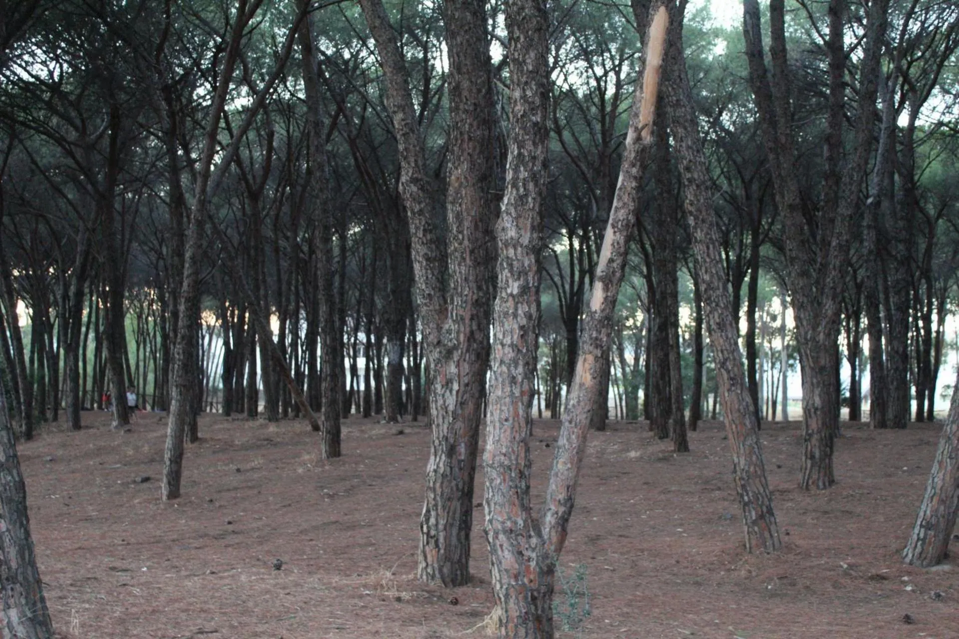 Landmark view in PARK HOTEL LE DUNE DI GIOVINO