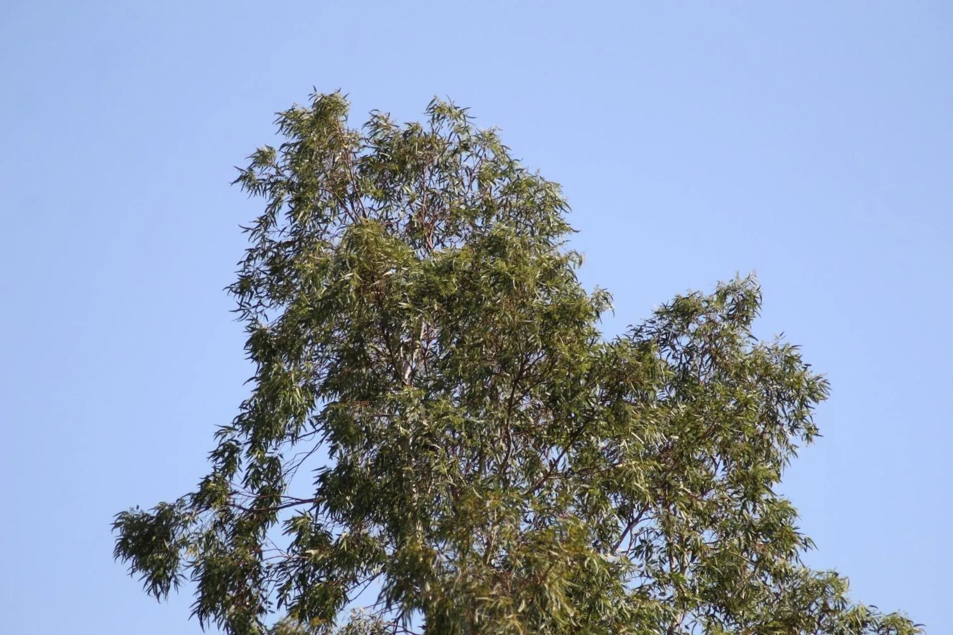 Landmark view in PARK HOTEL LE DUNE DI GIOVINO