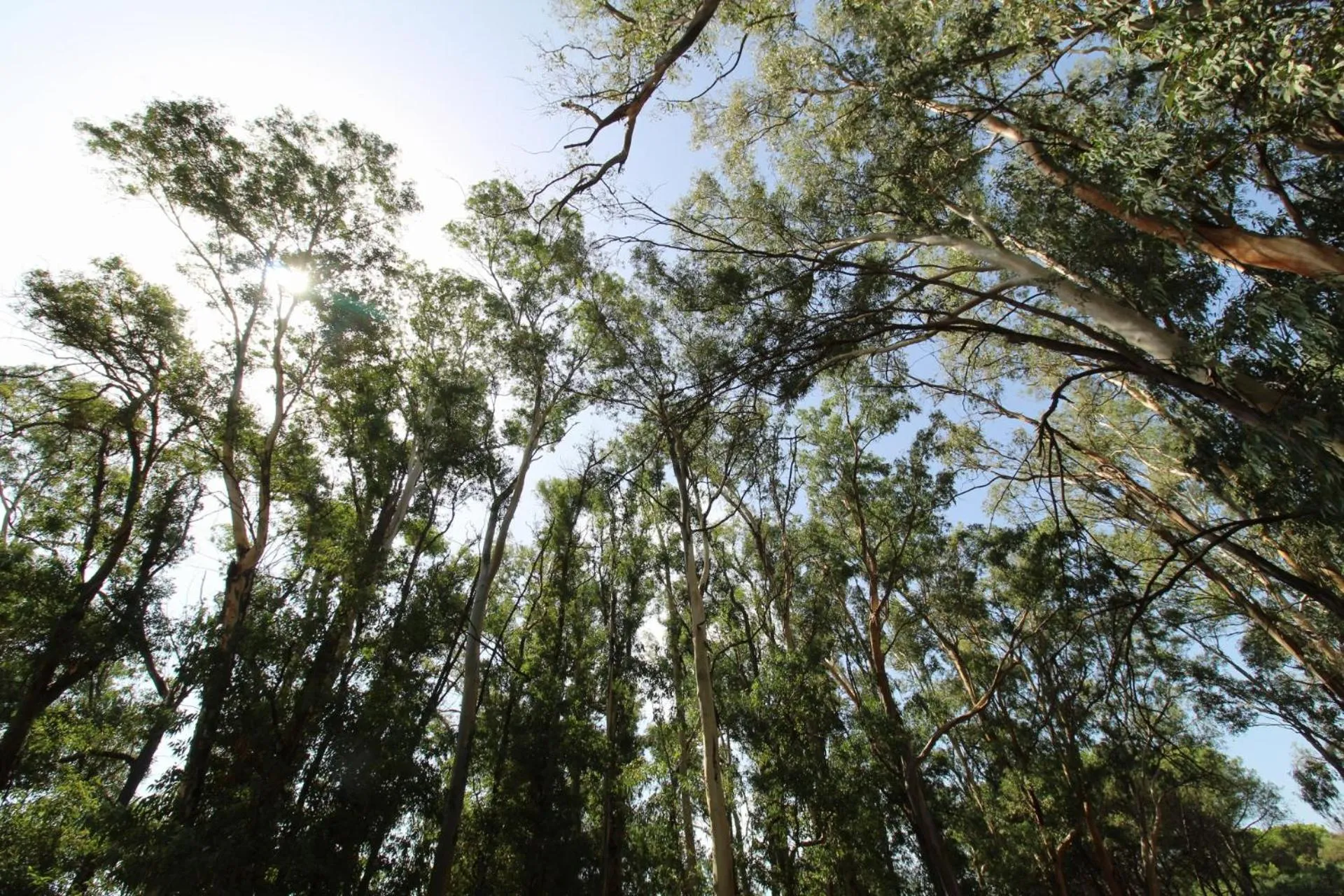 Nearby landmark in PARK HOTEL LE DUNE DI GIOVINO