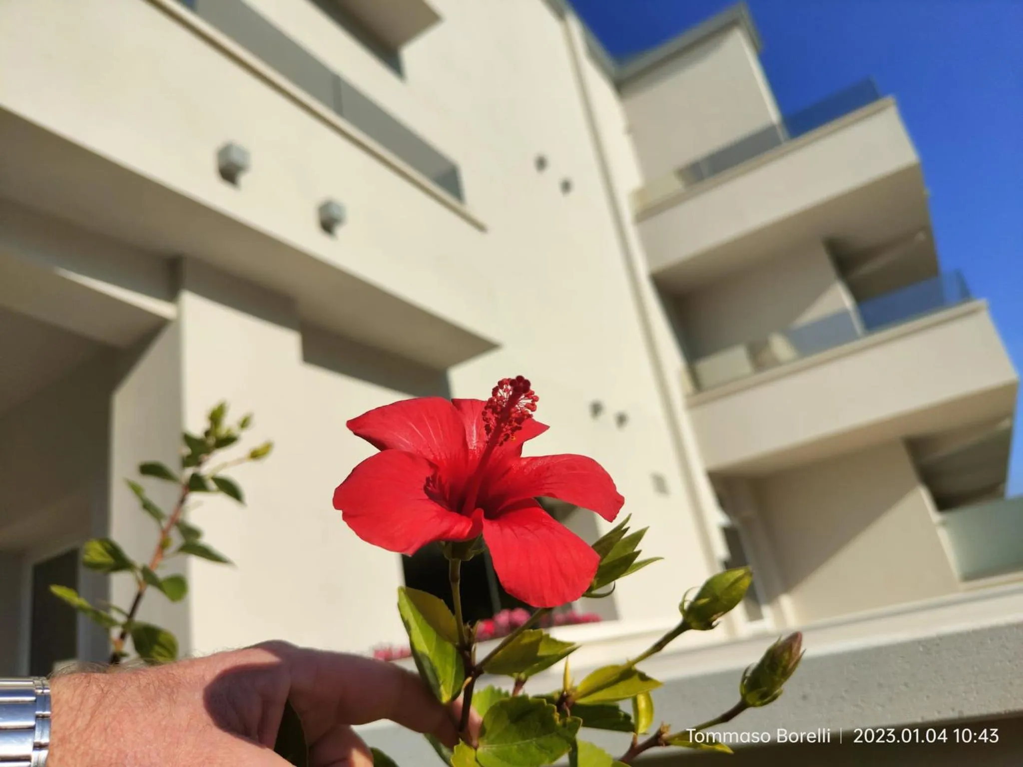 Property building in PARK HOTEL LE DUNE DI GIOVINO