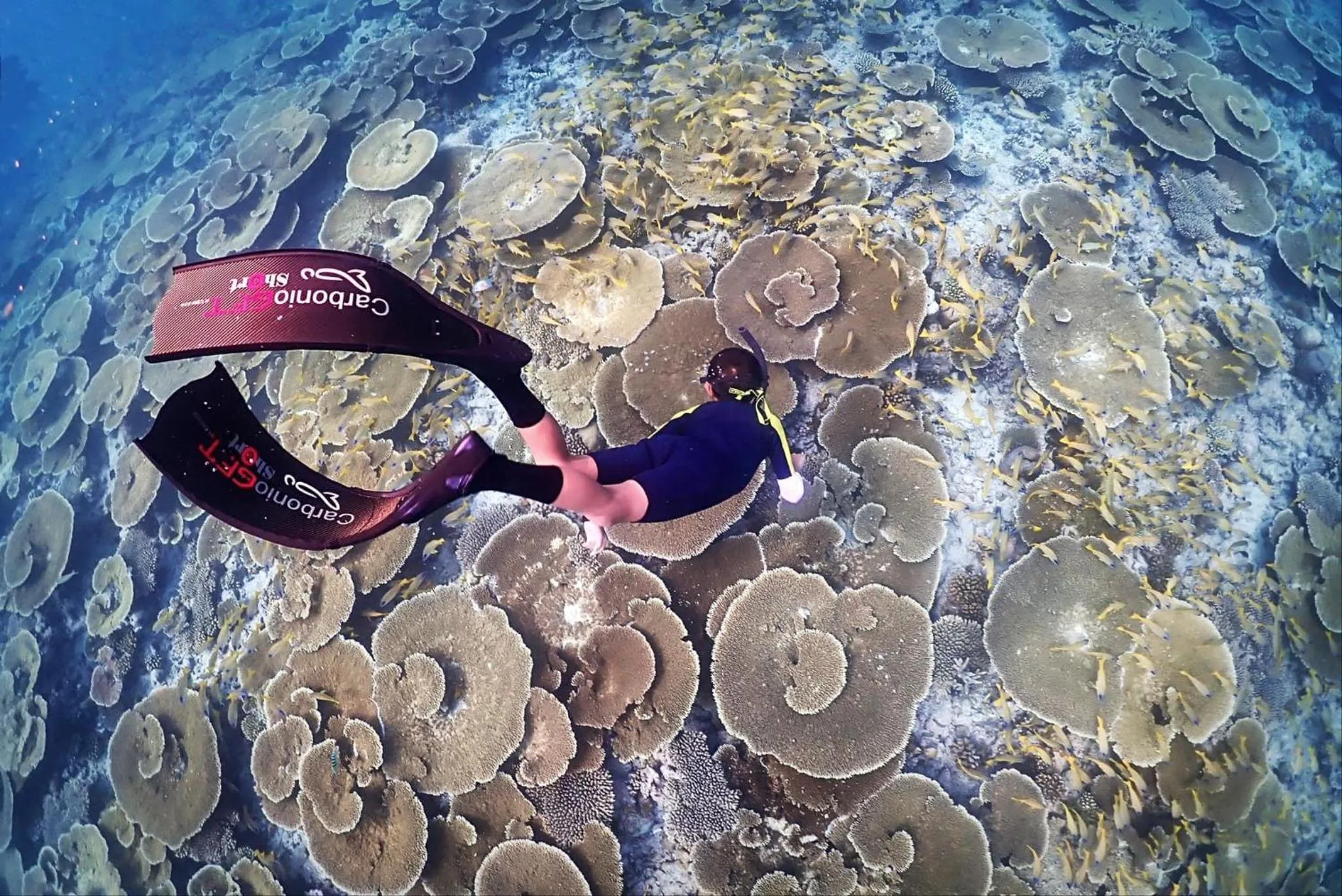 Snorkeling in Rasdu View Inn