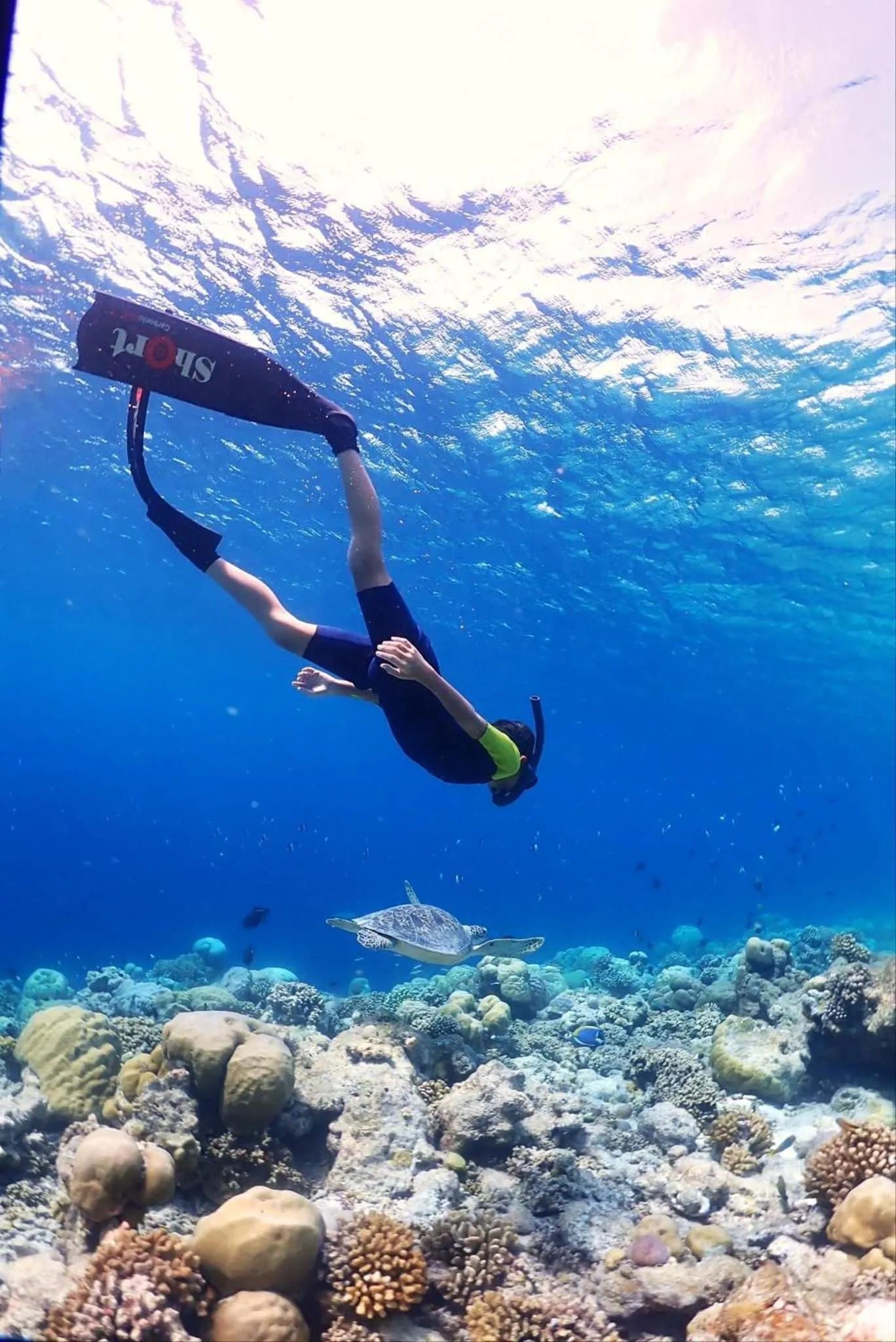 Snorkeling in Rasdu View Inn