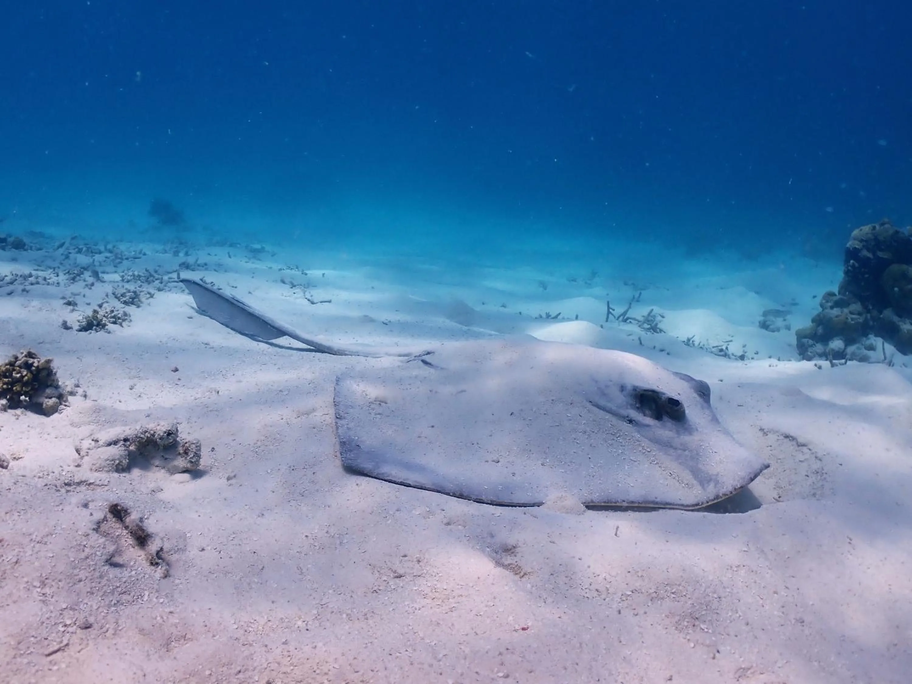 Snorkeling in Rasdu View Inn