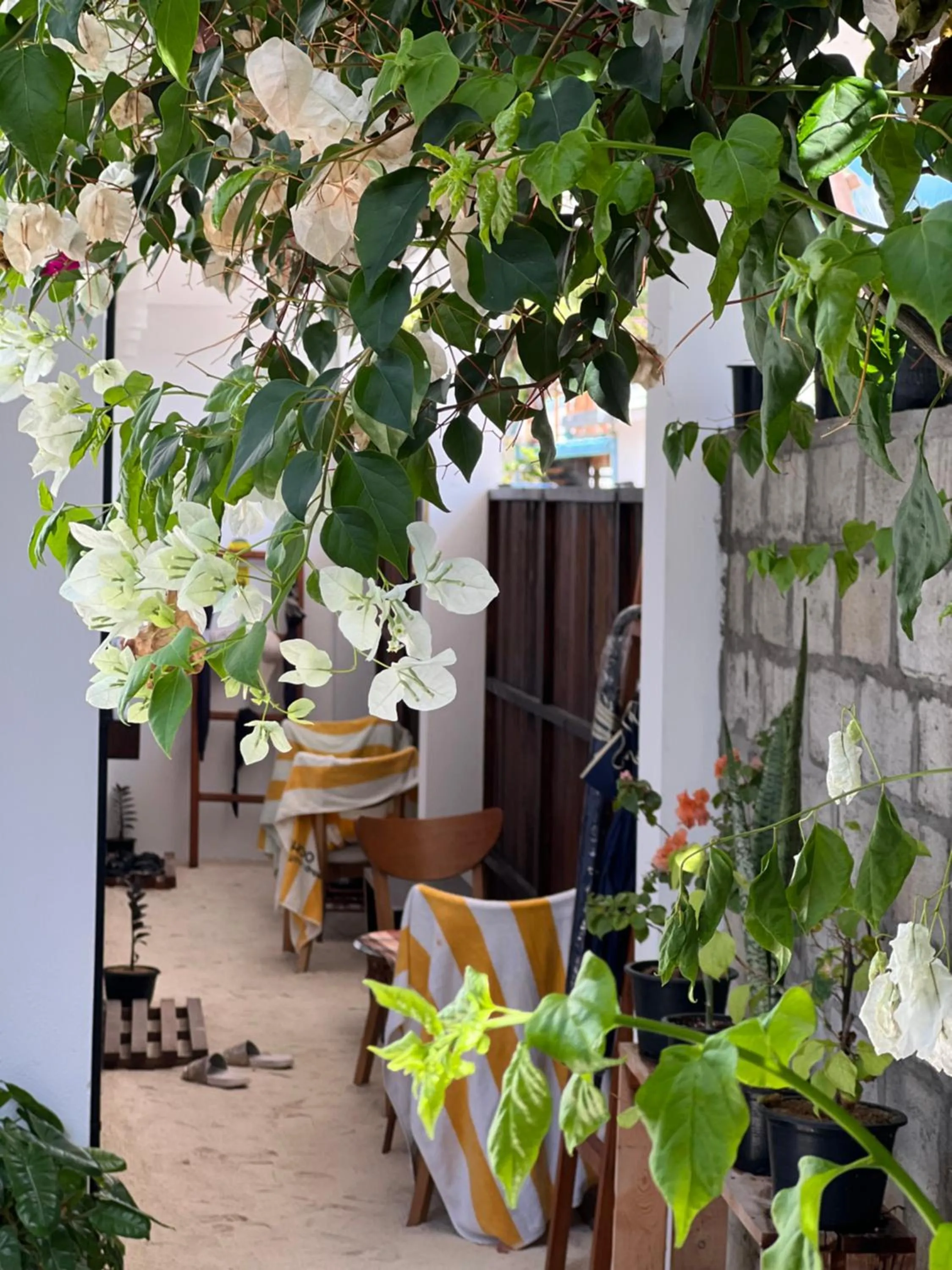 Garden in Rasdu View Inn