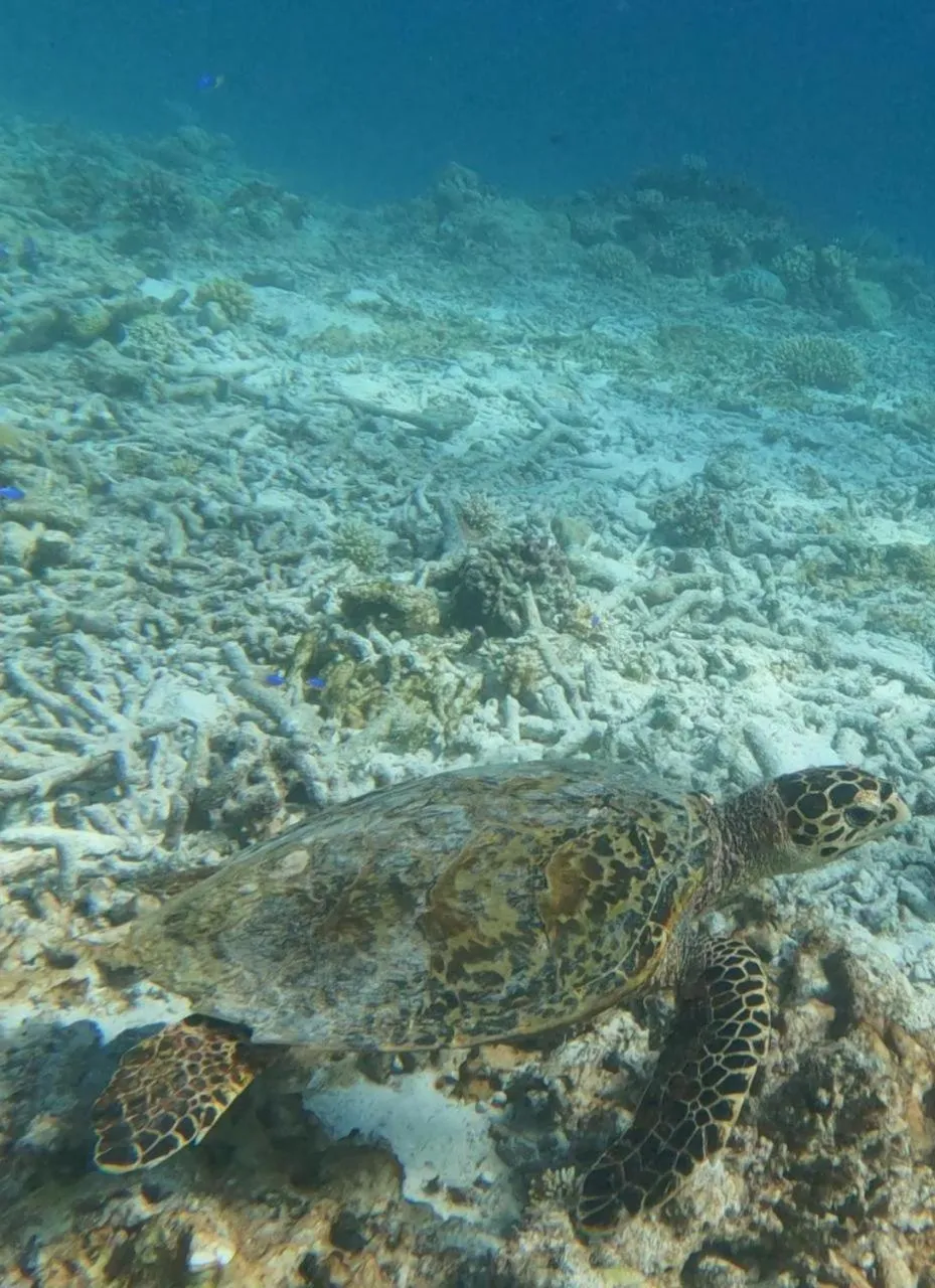 Activities in Rasdu View Inn