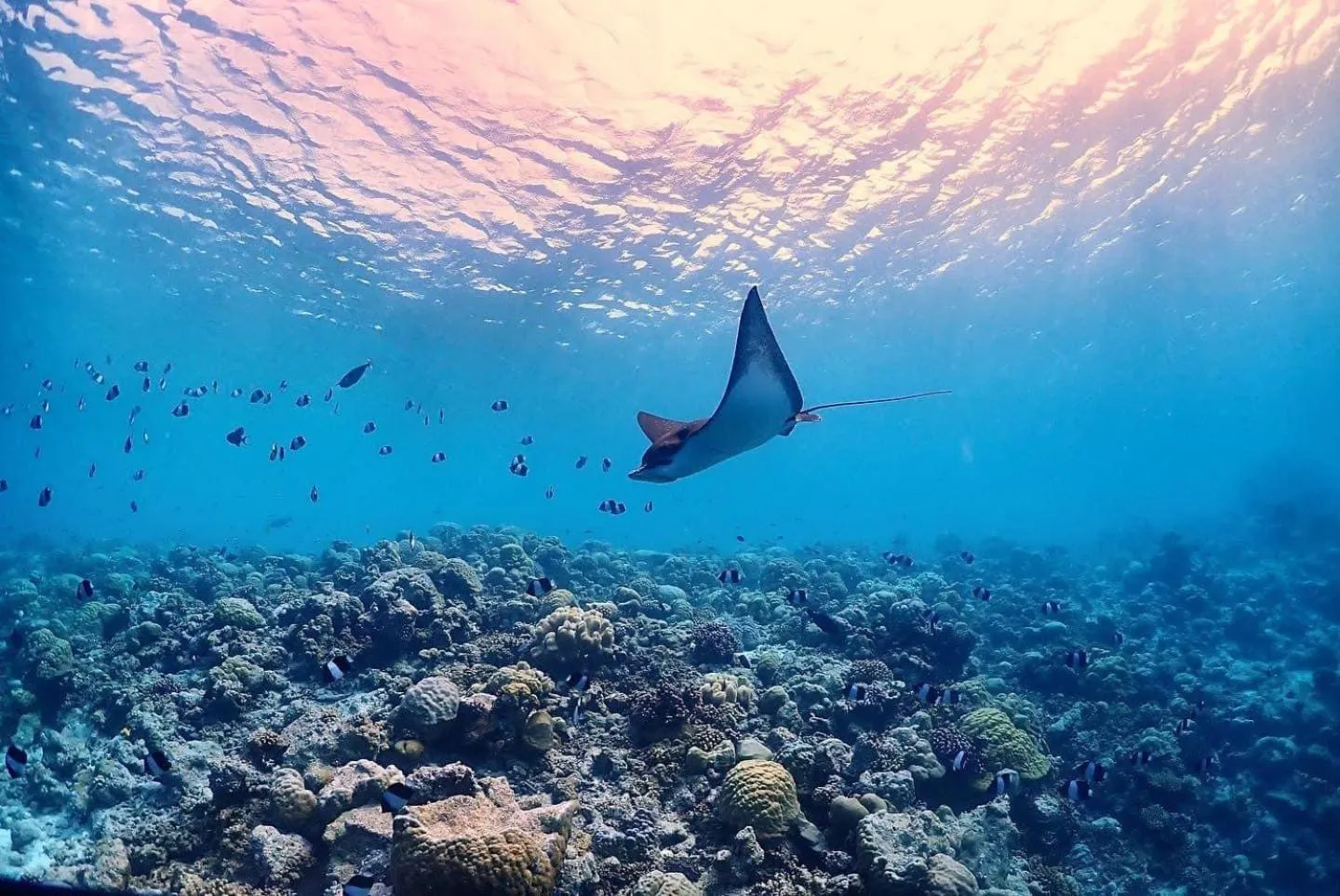 Snorkeling in Rasdu View Inn