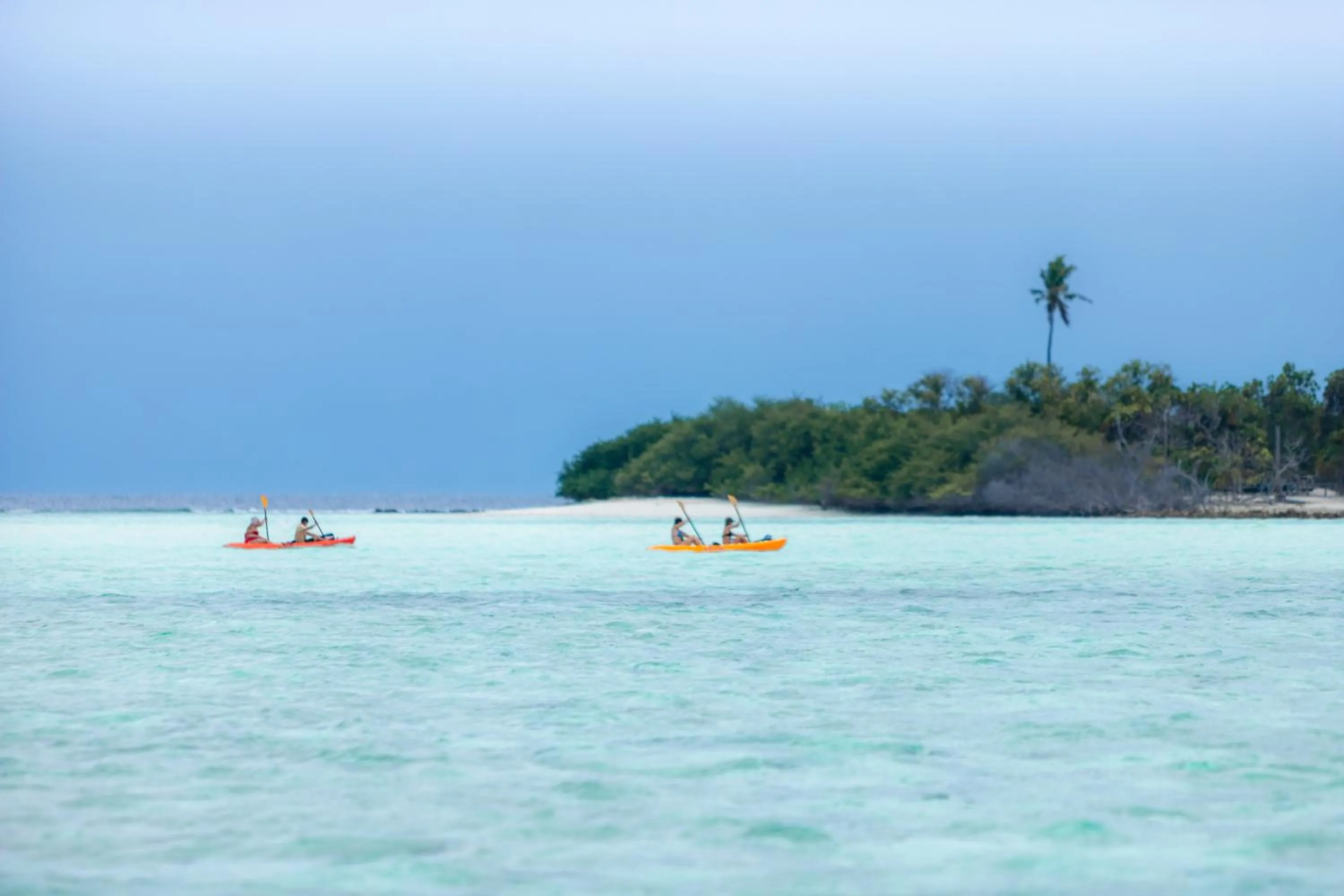 Activities in Rasdu View Inn