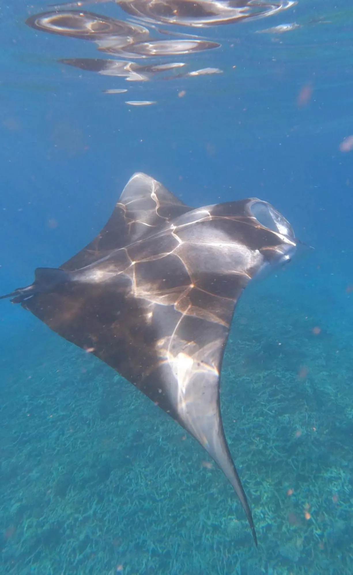 Activities in Rasdu View Inn