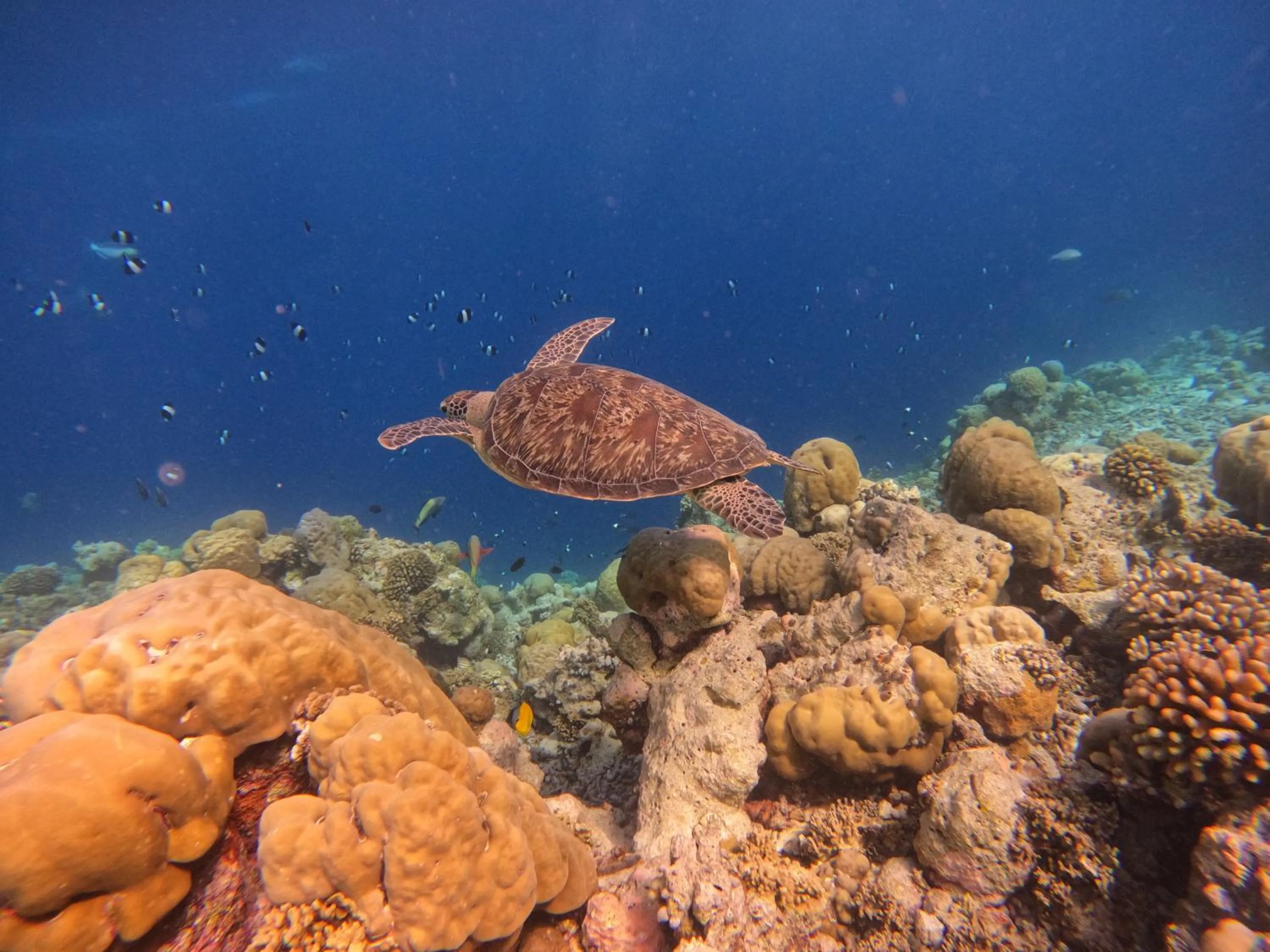 Activities in Rasdu View Inn