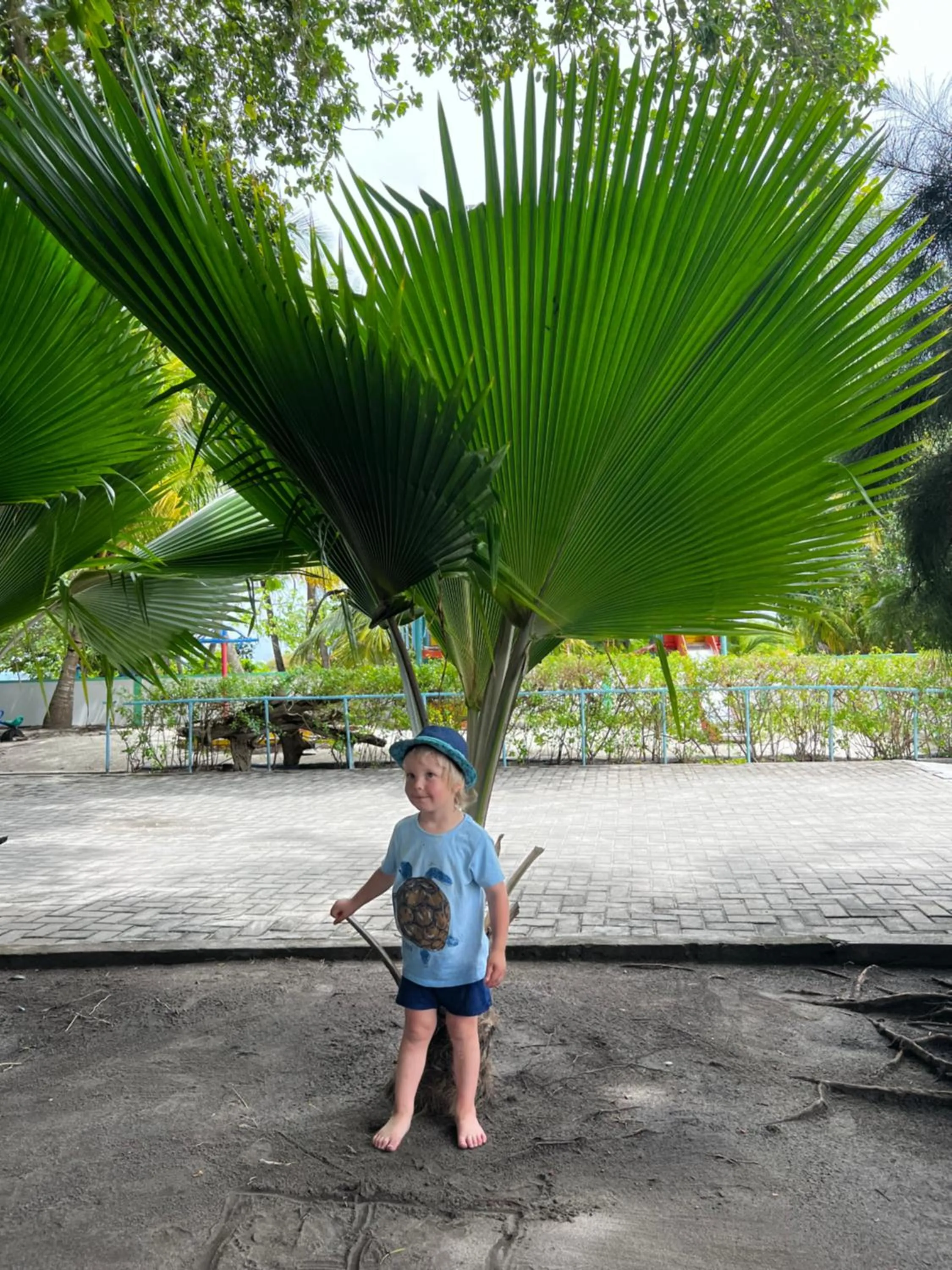 Family in Rasdu View Inn