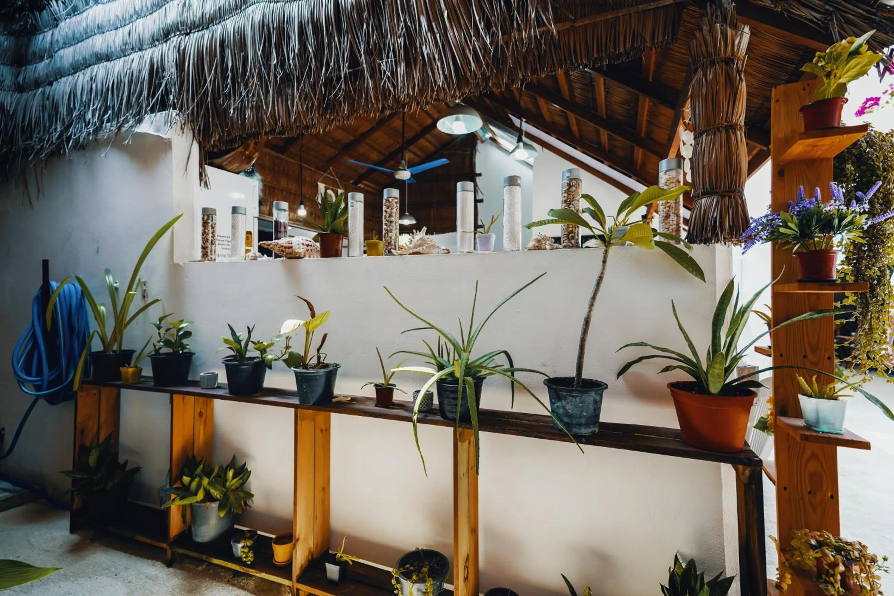 Garden view in Rasdu View Inn