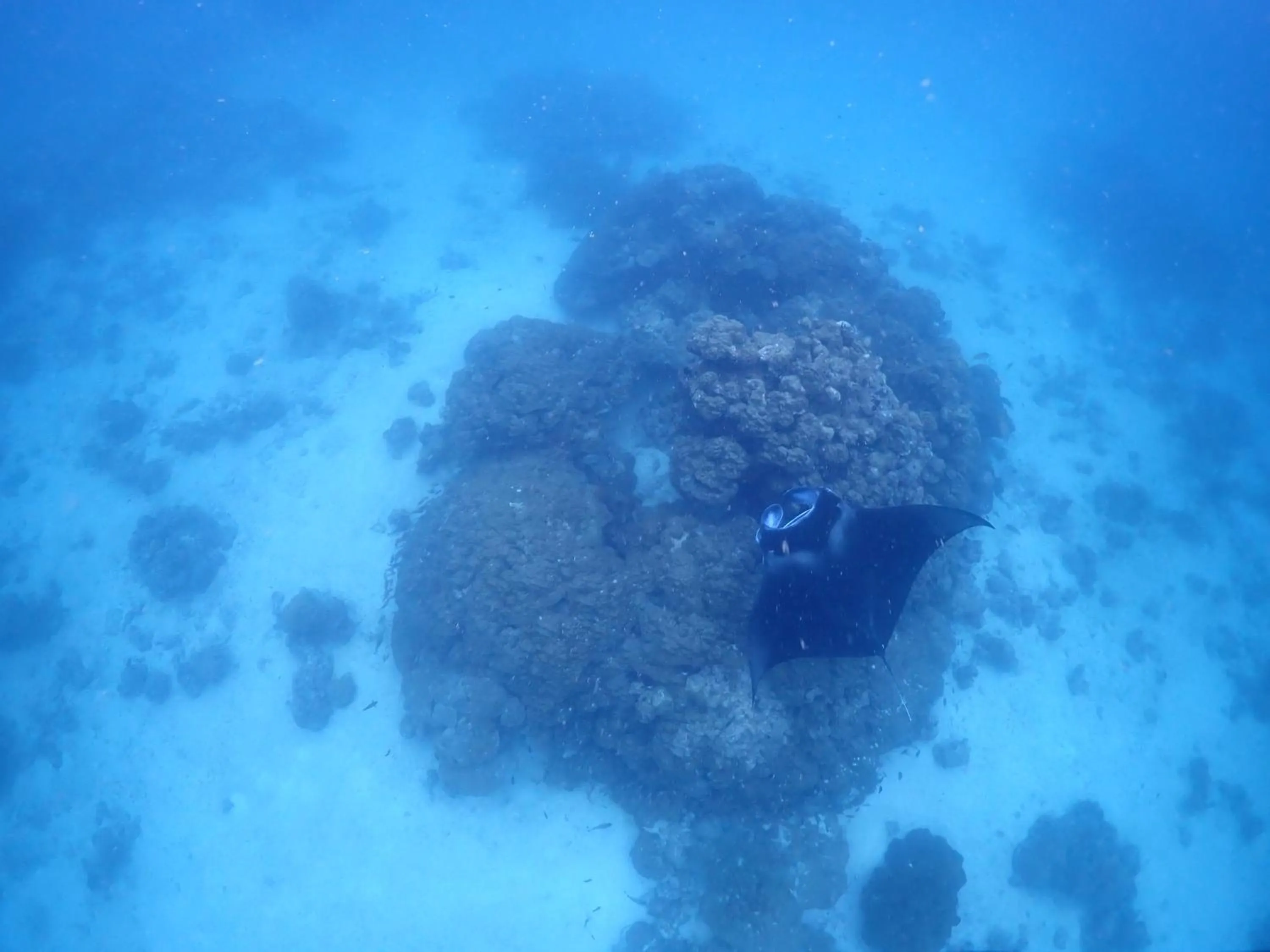 Snorkeling in Rasdu View Inn