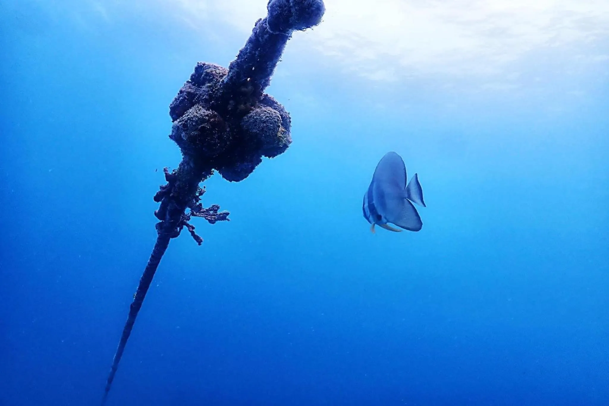 Snorkeling in Rasdu View Inn