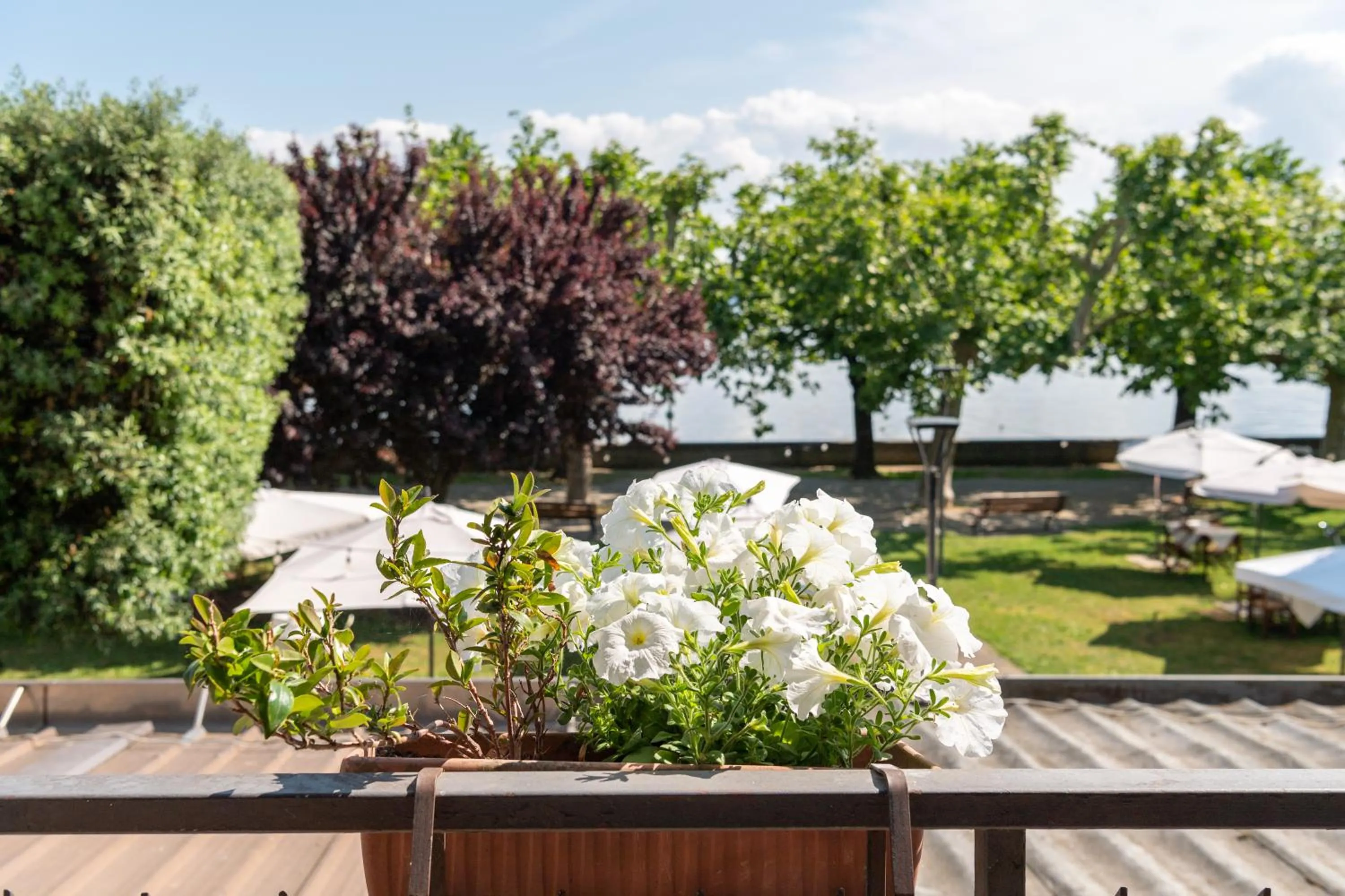 Balcony/Terrace in Locanda Da Otello