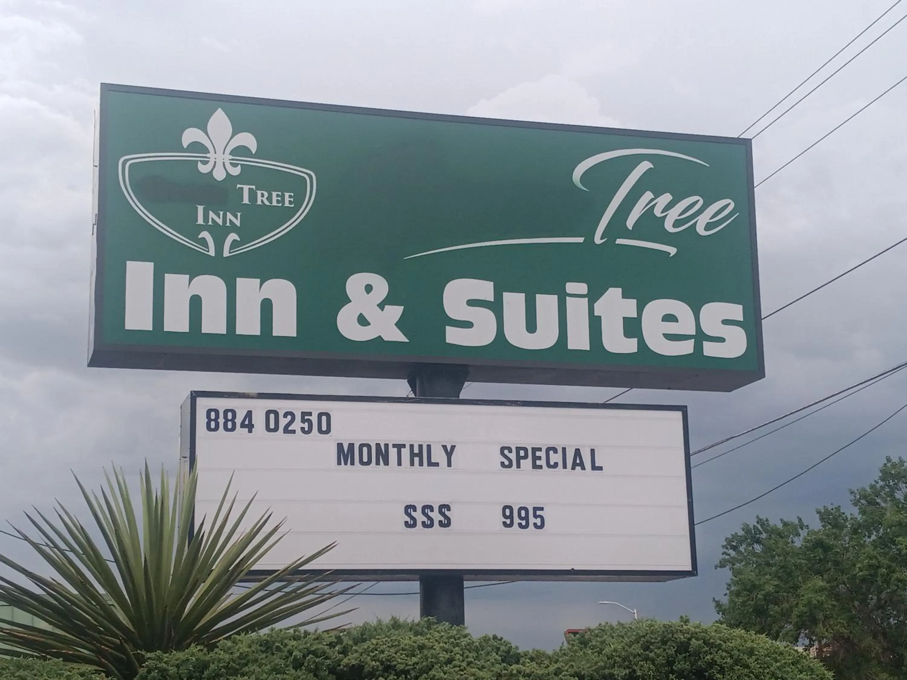 Property logo or sign in Tree Inn & Suites Albuquerque