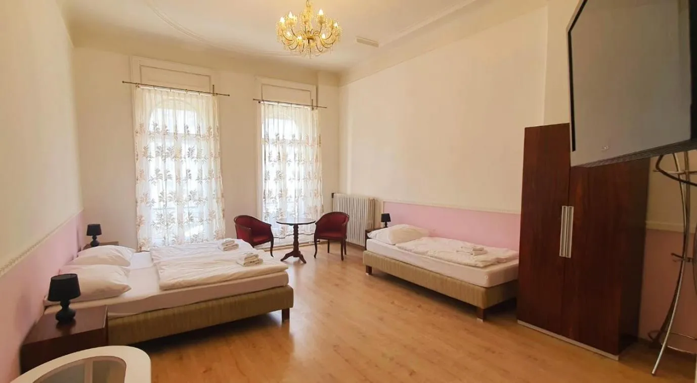 Photo of the whole room, Bed in Hotel Palacky