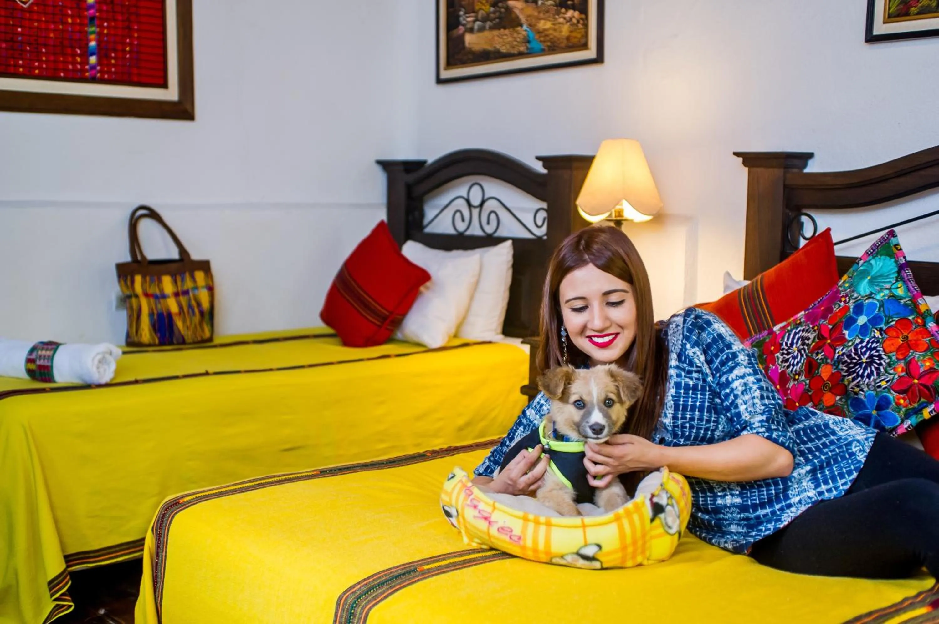 Pets in Hostal Antigua